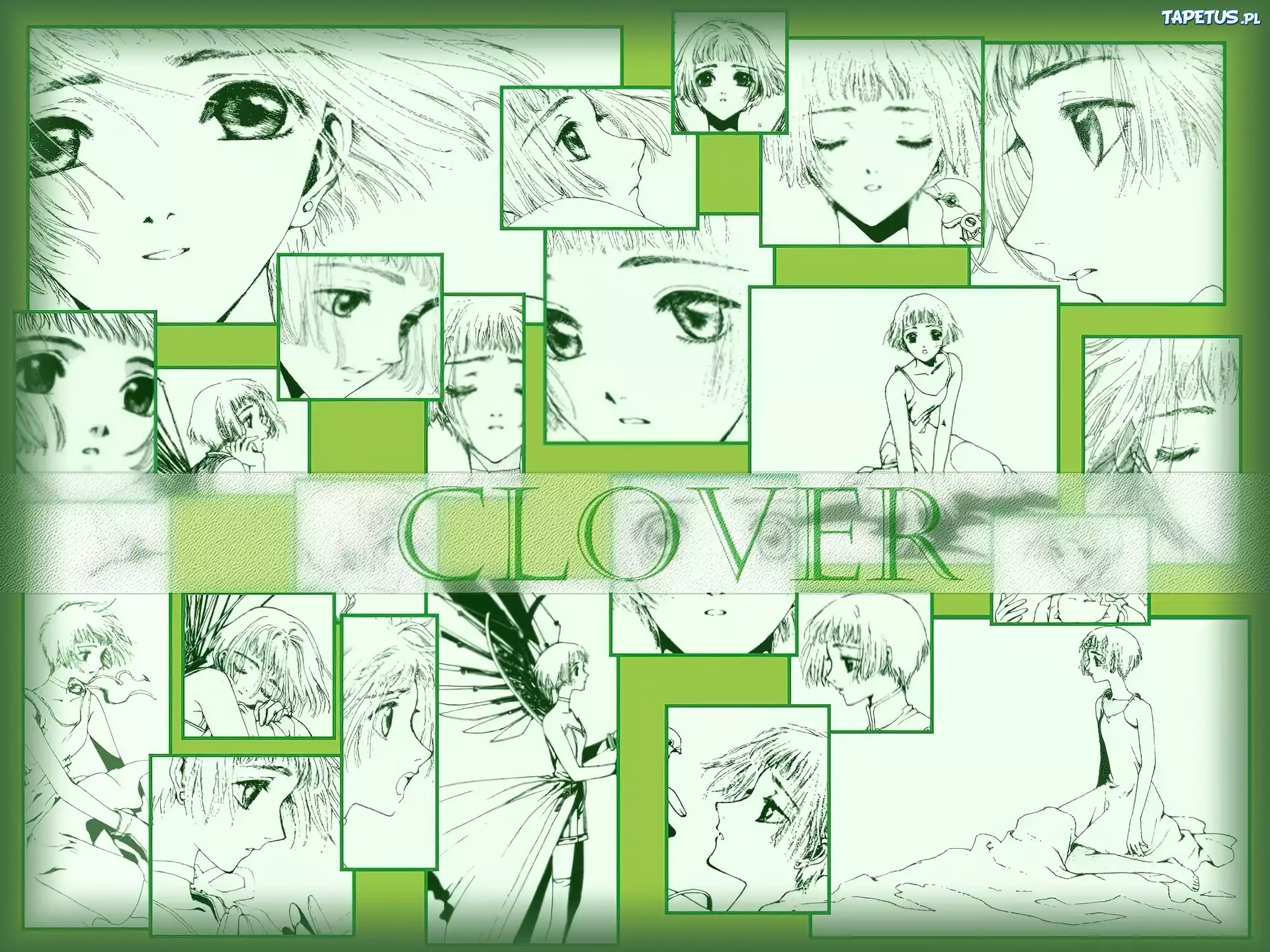 Clover, twarze, rysunki