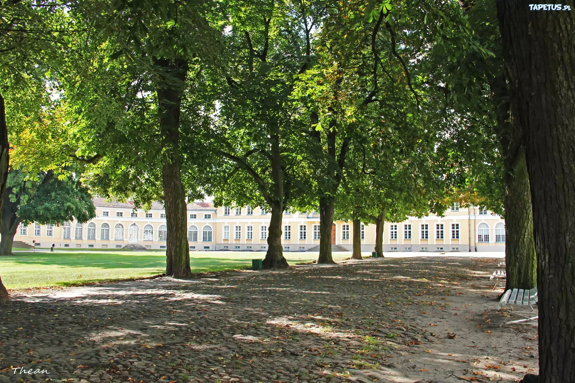 Aleja, Kasztanowce, Park, Pałac, Rogalin