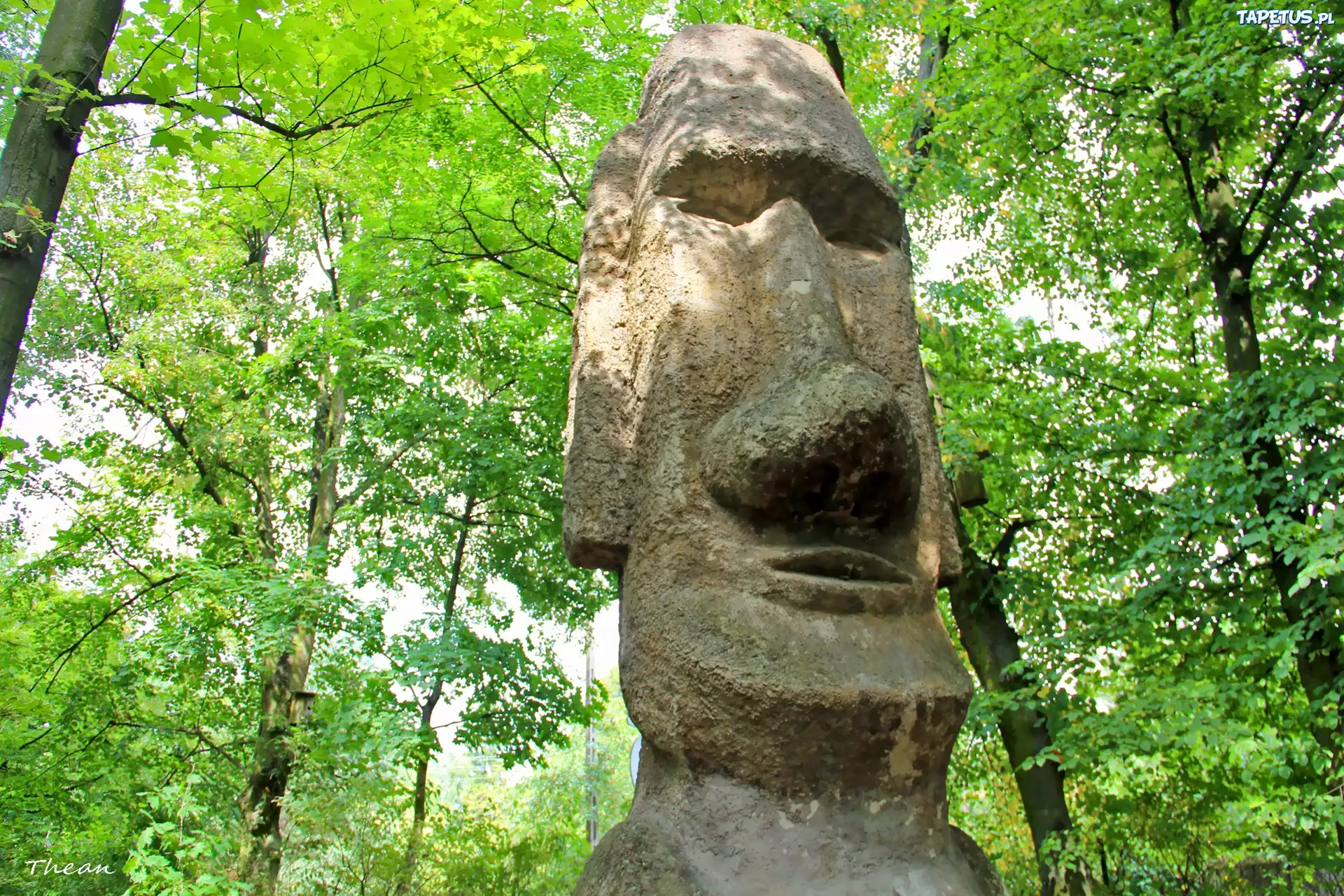 Muzeum Arkadego Fiedlera, Puszczykowo