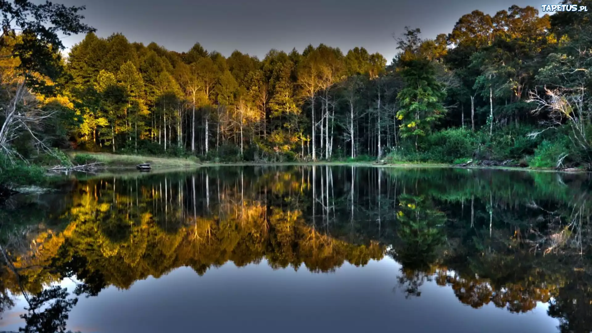 Las, Jezioro, Odbicie