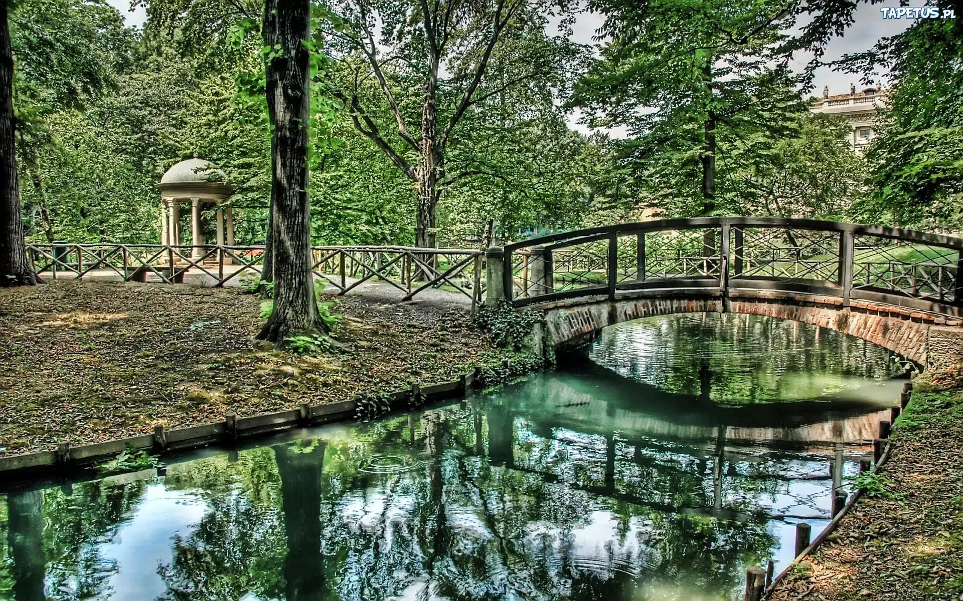 Park, Drzewa, Most, Rzeka, Odbicie