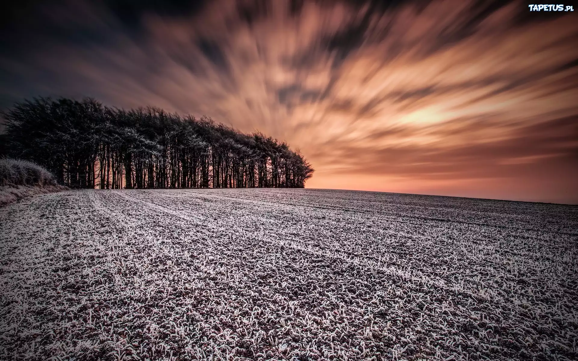 Zachód, Słońca, Las, Zima
