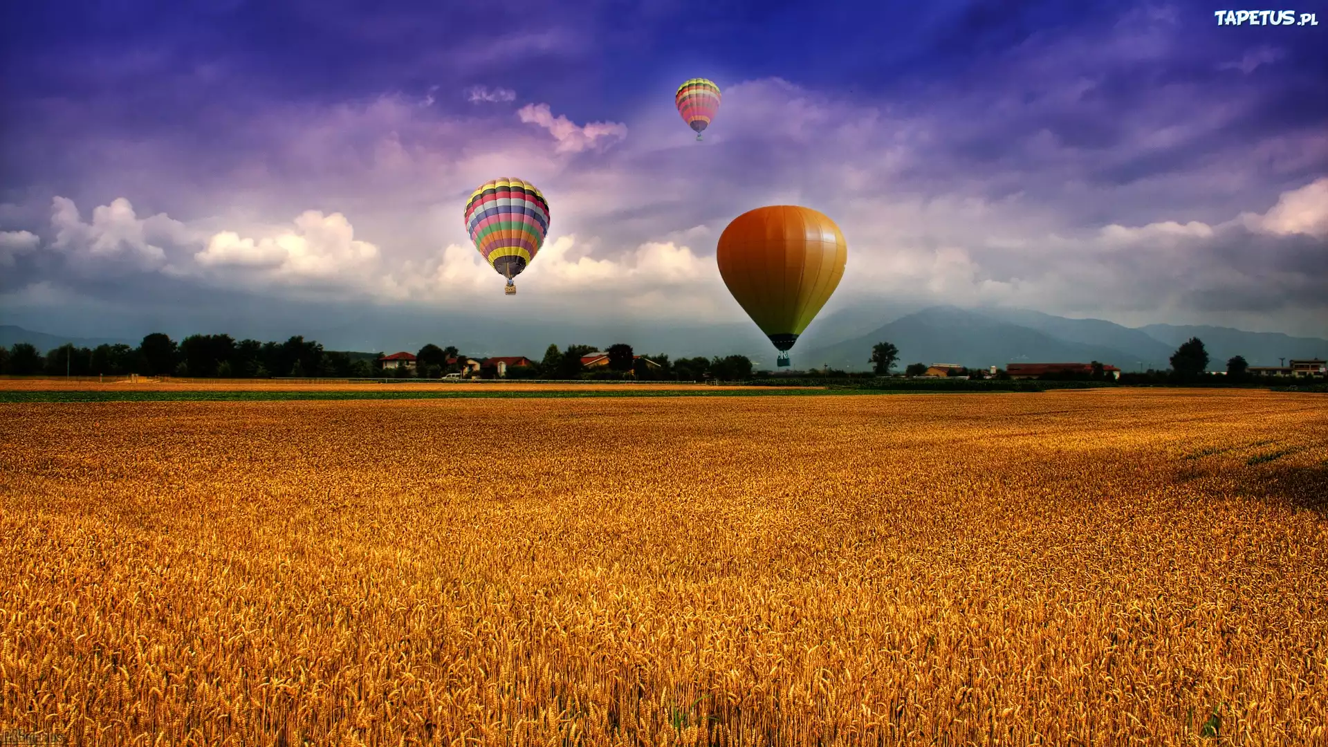 Balony, Pole, Zboże, Chmury