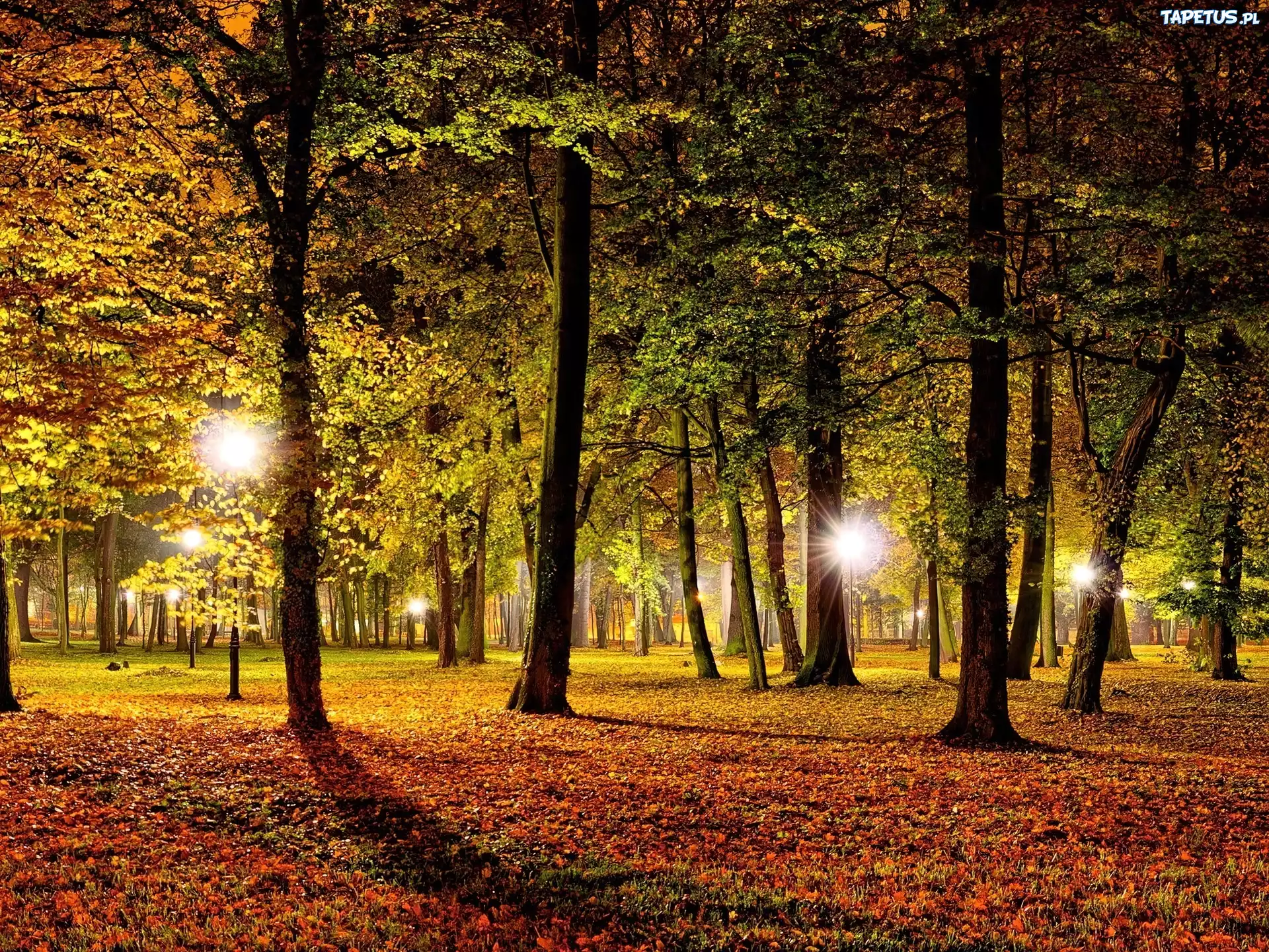 Jesienny, Park, Oświetlenie