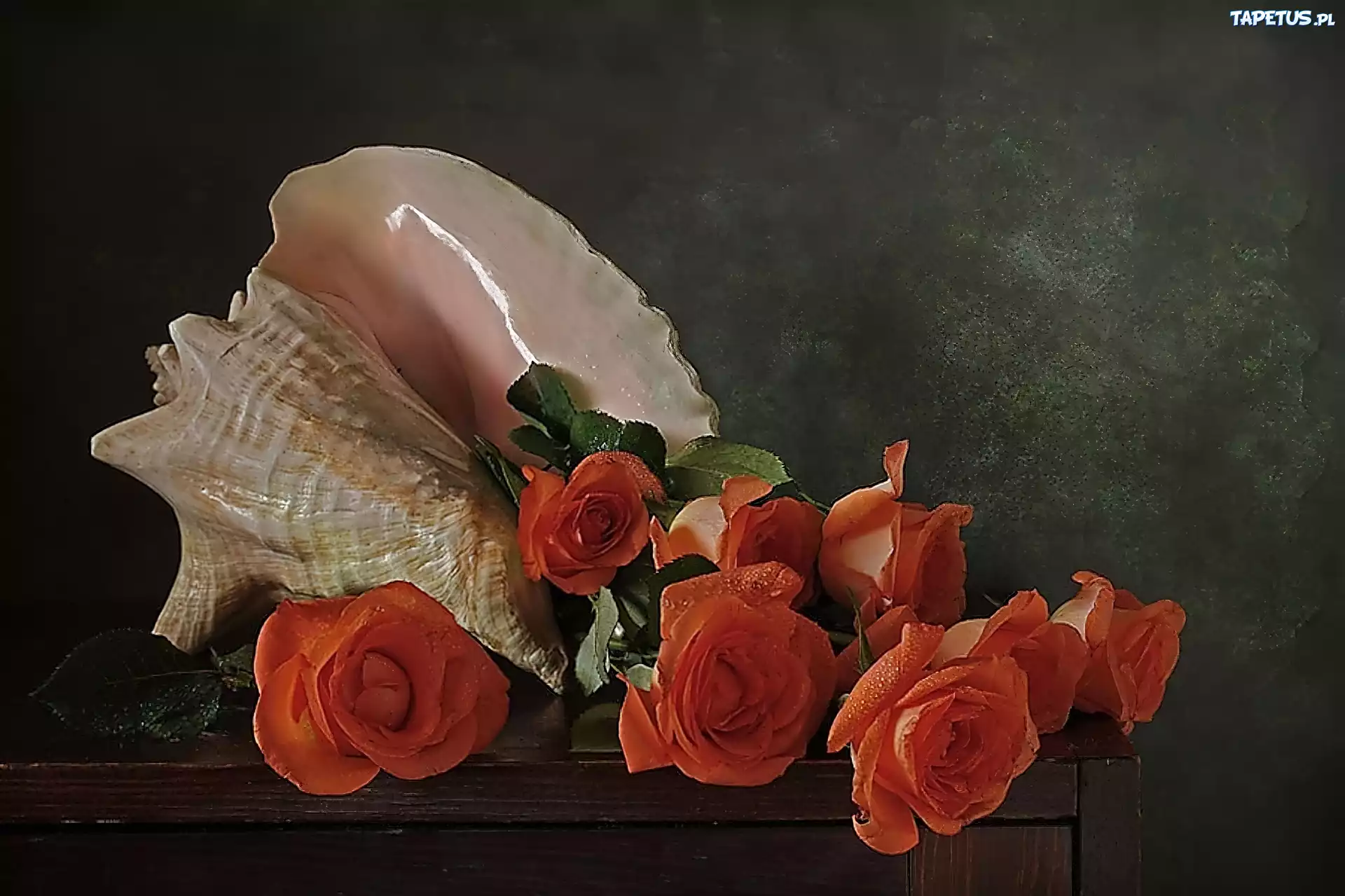 Muszla, Kwiaty, Pomarańczowe, Róże