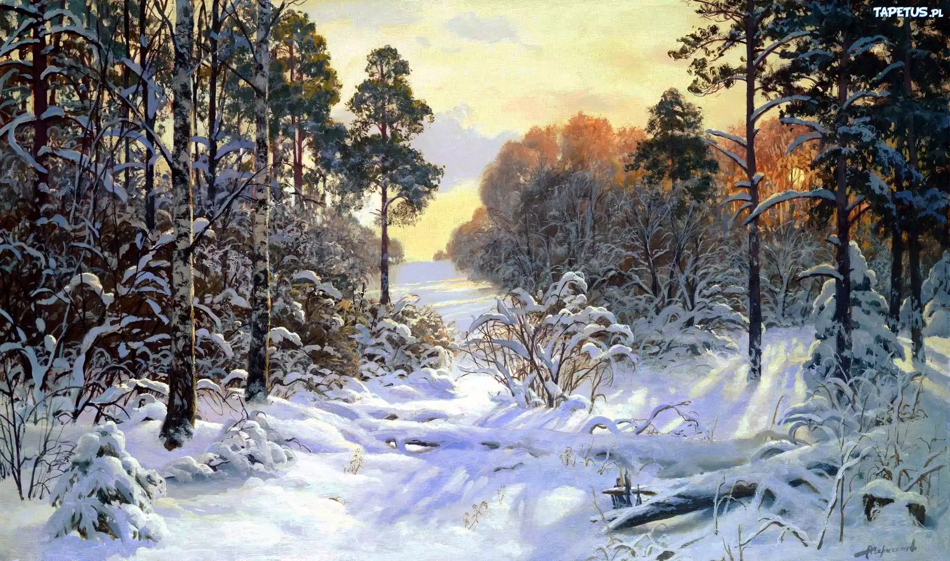 Las, Śnieg, Zima
