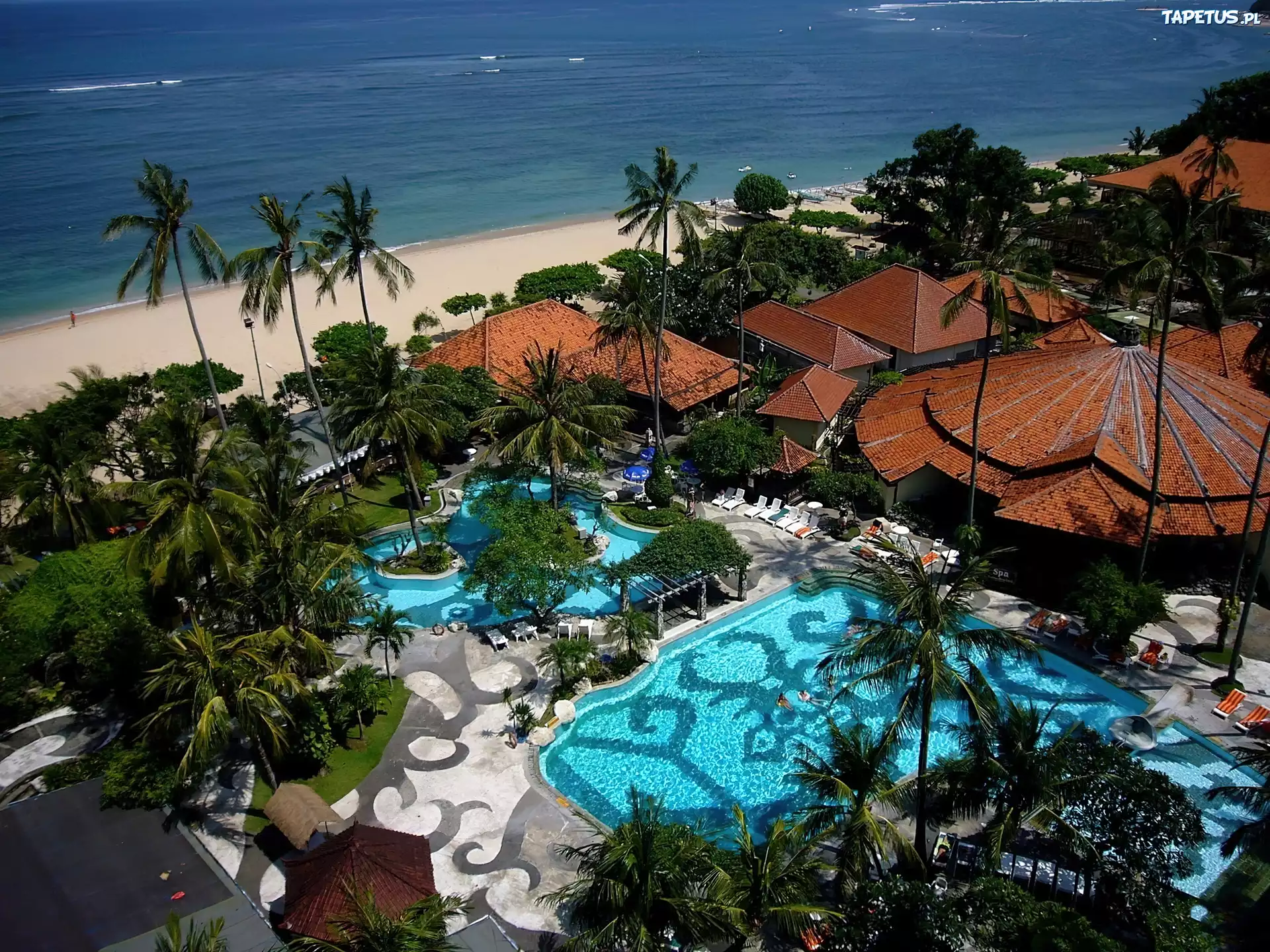 Hotel, Basen, Palmy, Morze