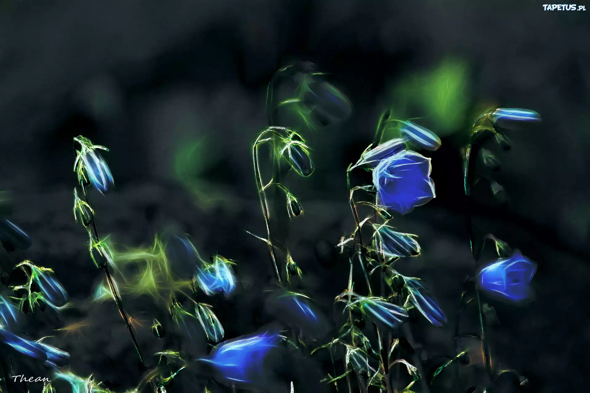 Niebieskie, Kwiatki, Fractalius