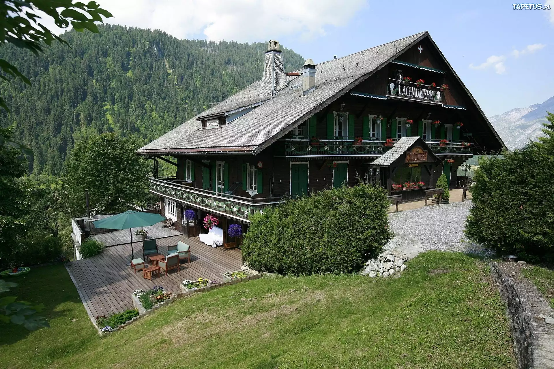 Restauracja, Góry, Lasy