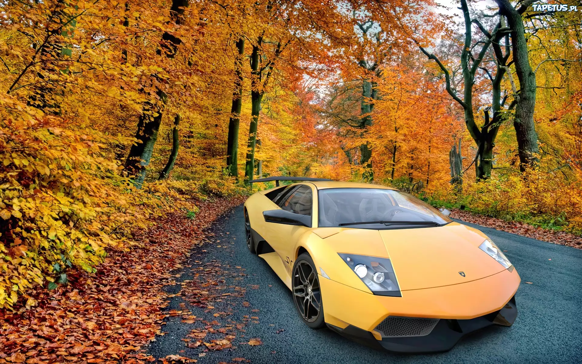 Lamborghini Murcielago лес дорога занос загрузить