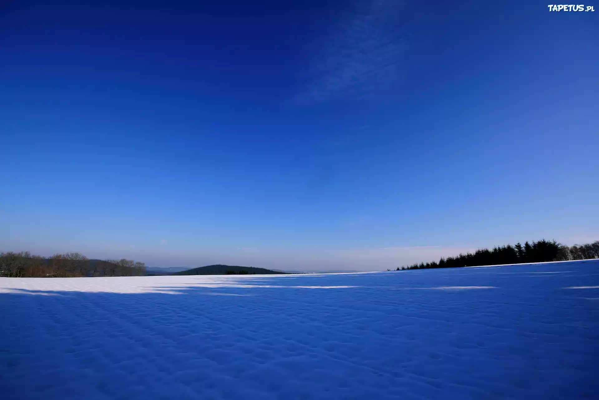 Pole, Śnieg, Las, Zachód, Słońca