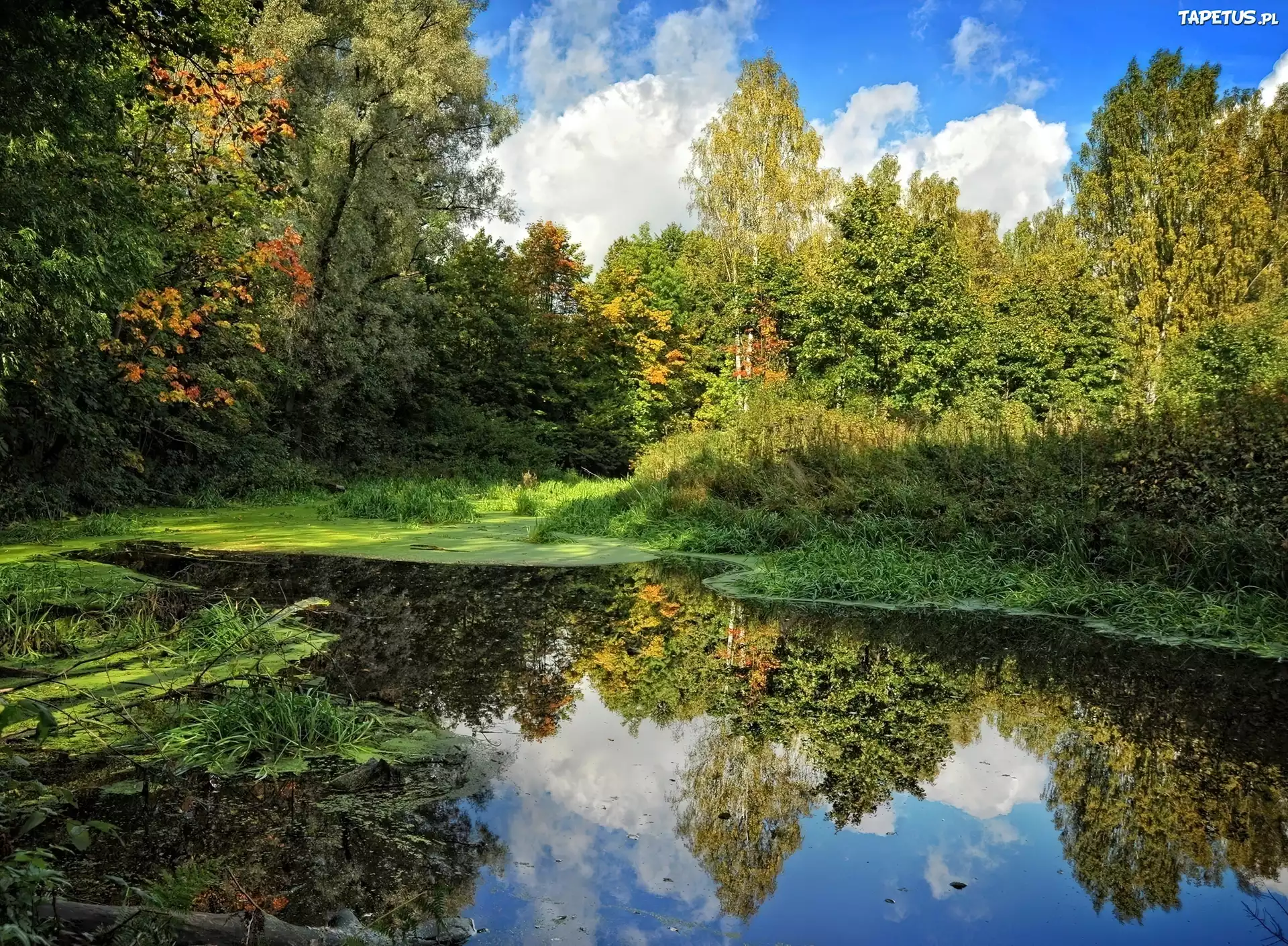 Las, Małe, Jezioro