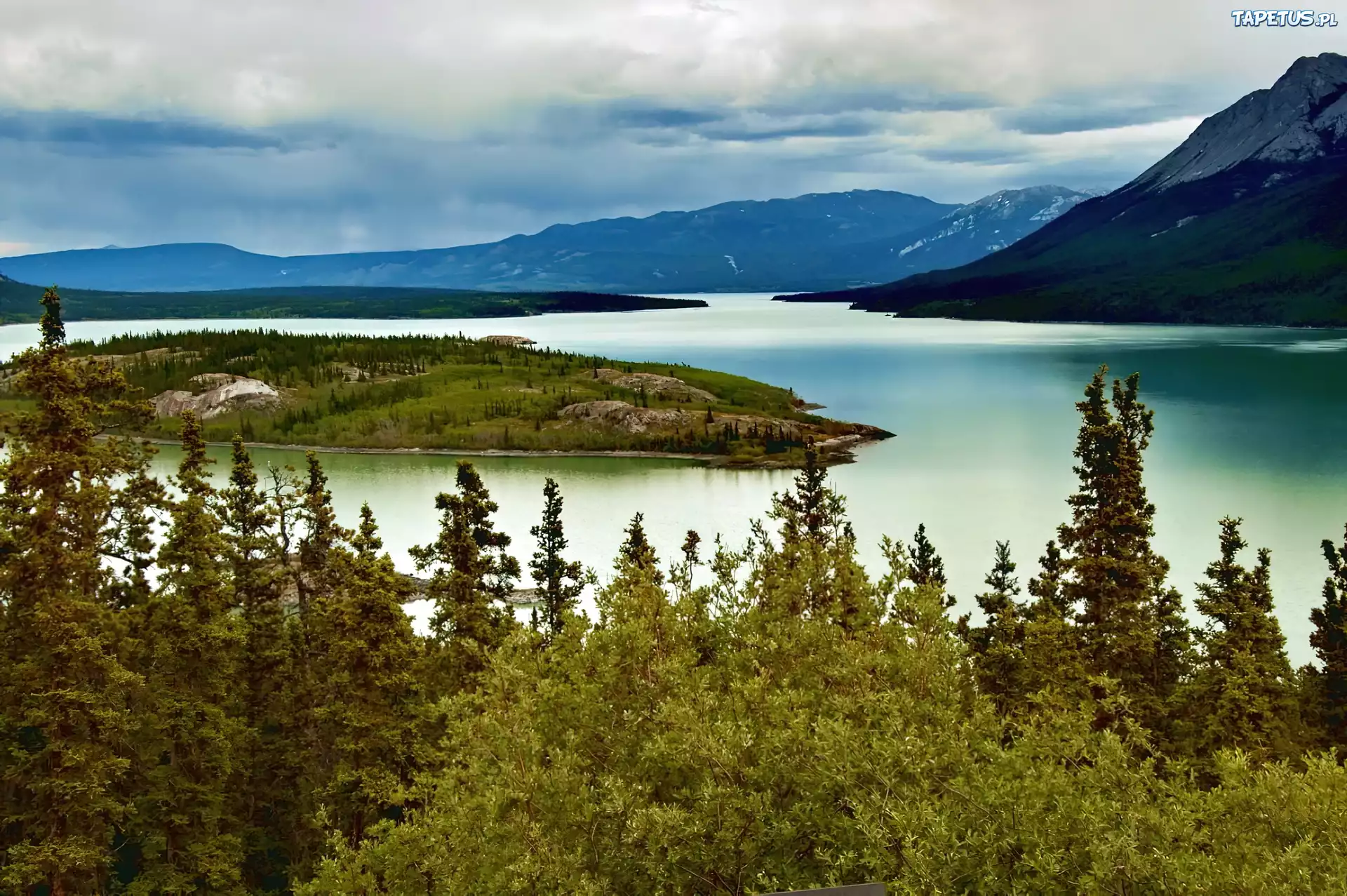 Rzeka, Drzewa, Góry, Yukon, Kanada