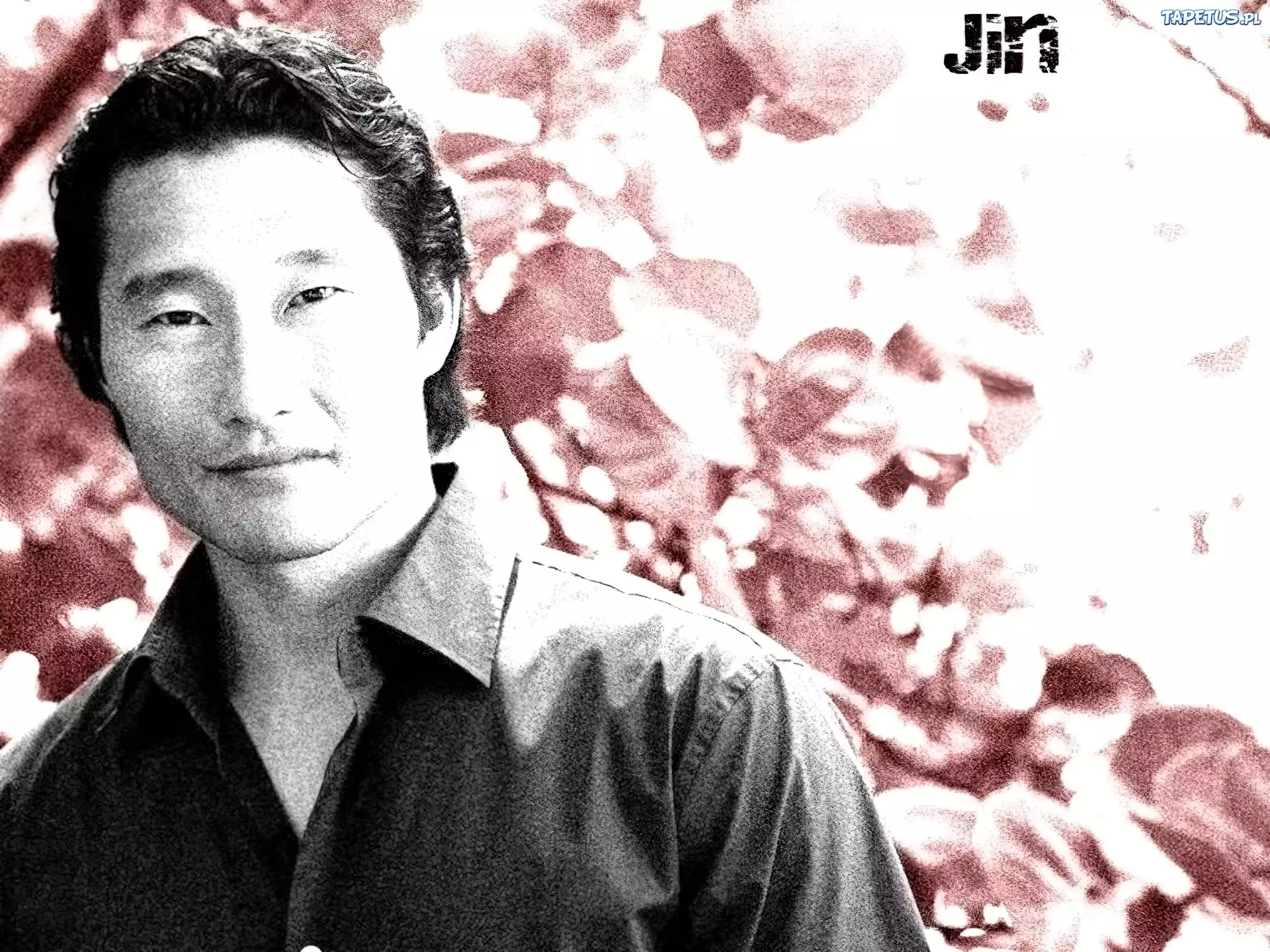 Filmy Lost, Daniel Dae Kim, liście