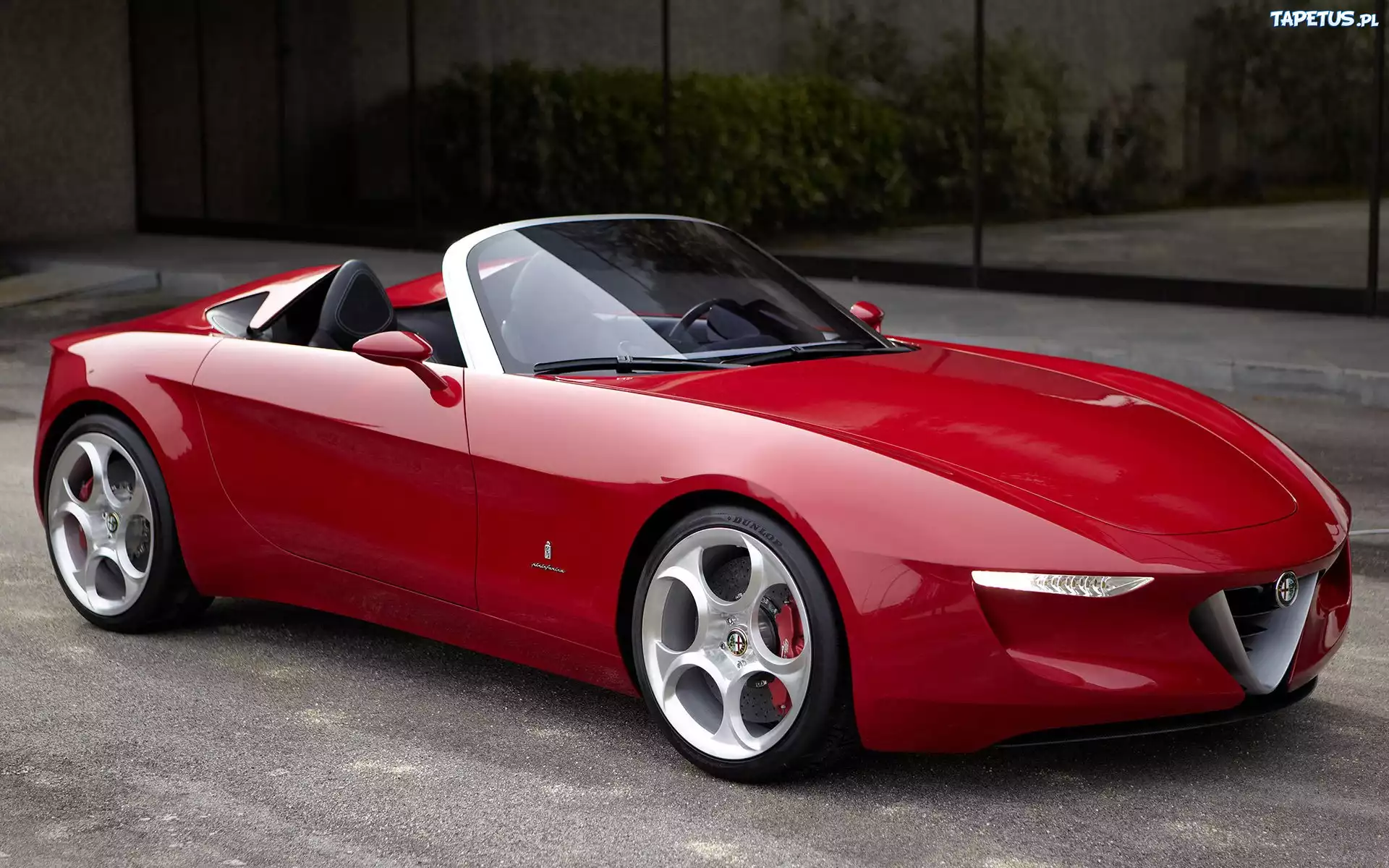 Alfa Romeo, Uettottanta, Prototyp
