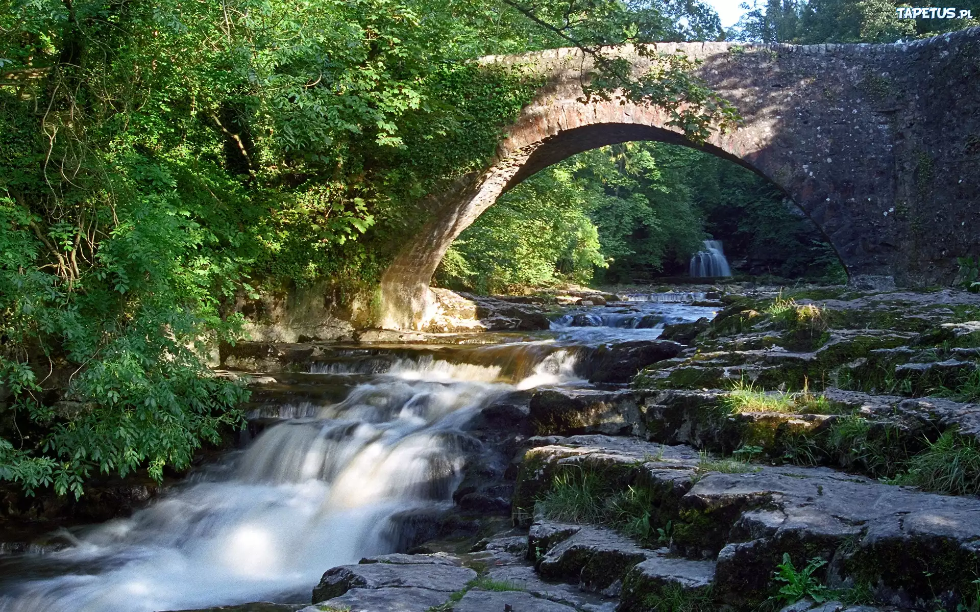 Rzeka, Kaskady, Most, Zieleń, Yorkshire, Anglia