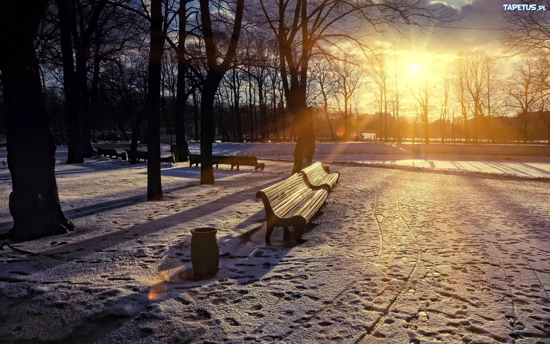 Park, Zima, Przebijające, Słońce, Ławki, Drzewa