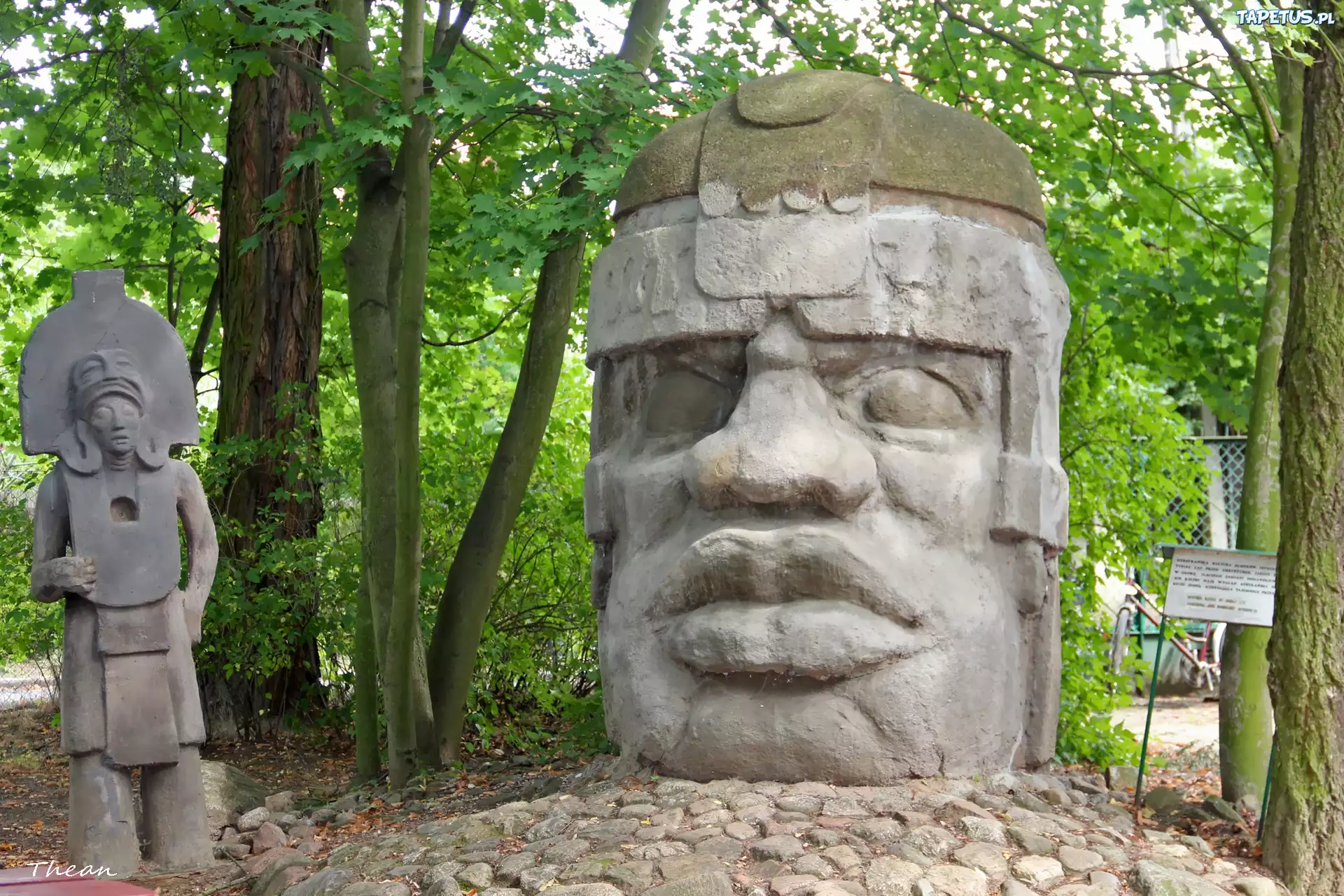 Głowa, Olmecka, Rzeźba, Muzeum Arkadego Fiedlera, Puszczykowo