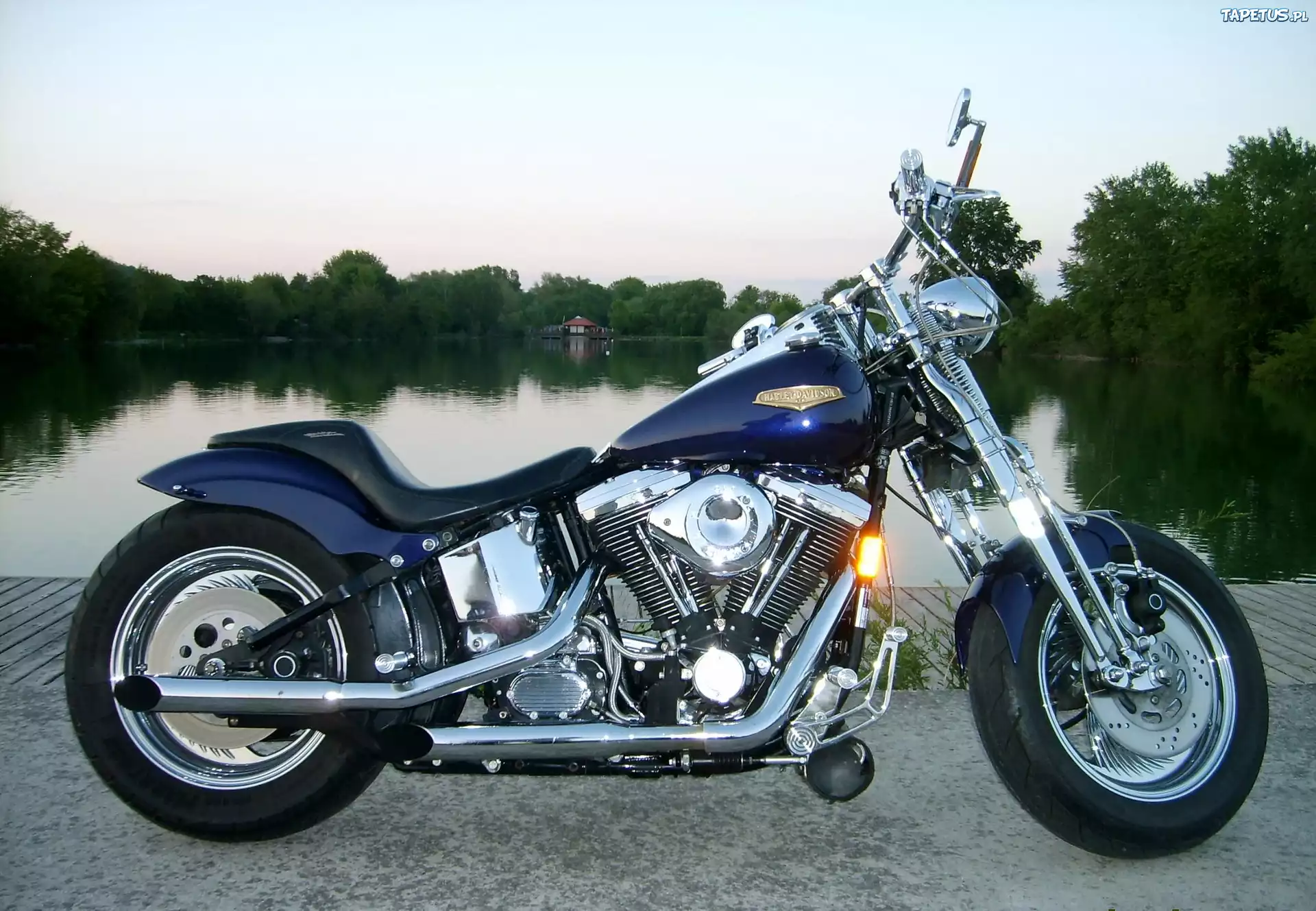 Motor, Harley-Davidson Springer