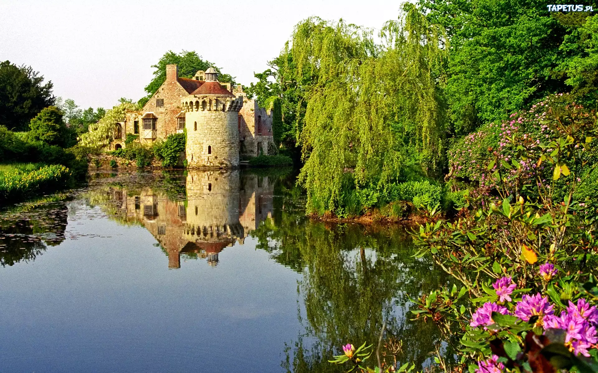 Zamek, Jeziorko, Kwiatki, Drzewa, Kent, Anglia