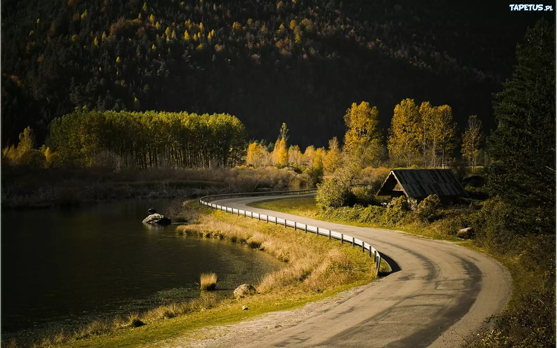 осень дорога река autumn road river бесплатно