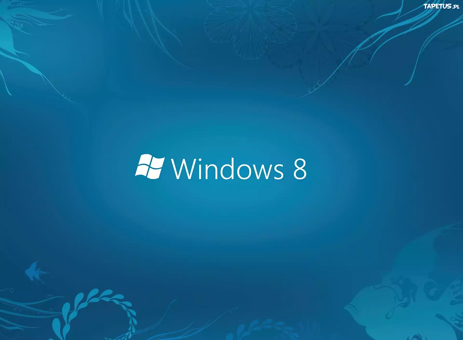 System Operacyjny, Windows Eight