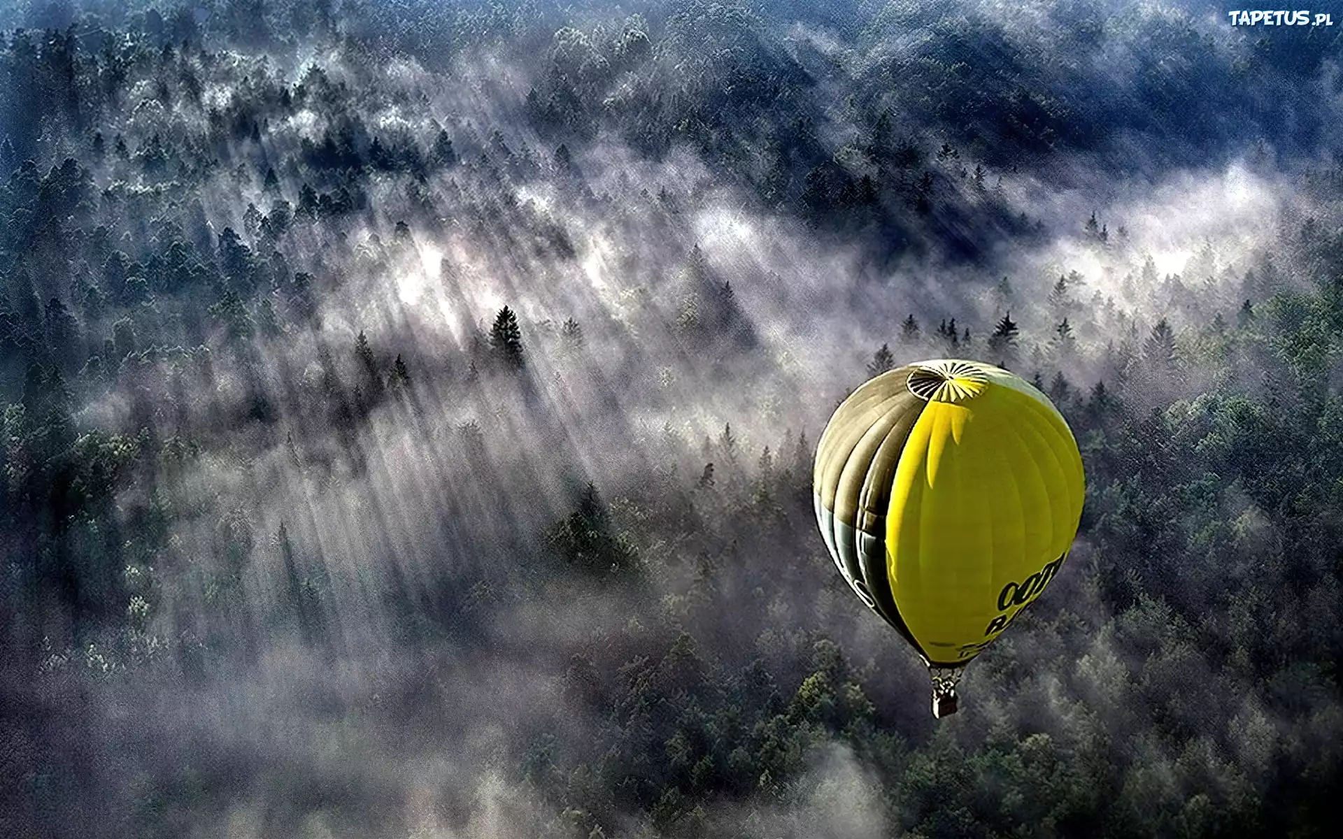 Balon, Las, Mgła