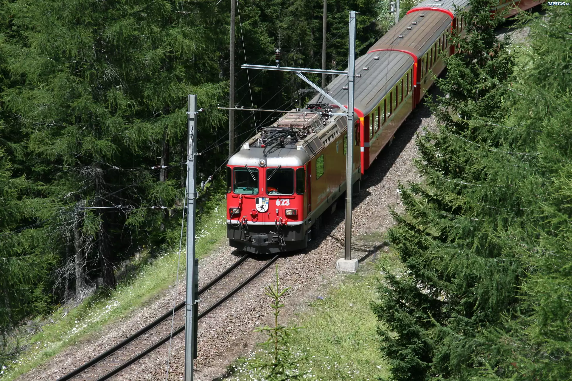 Pociąg, Elektryczny, Las