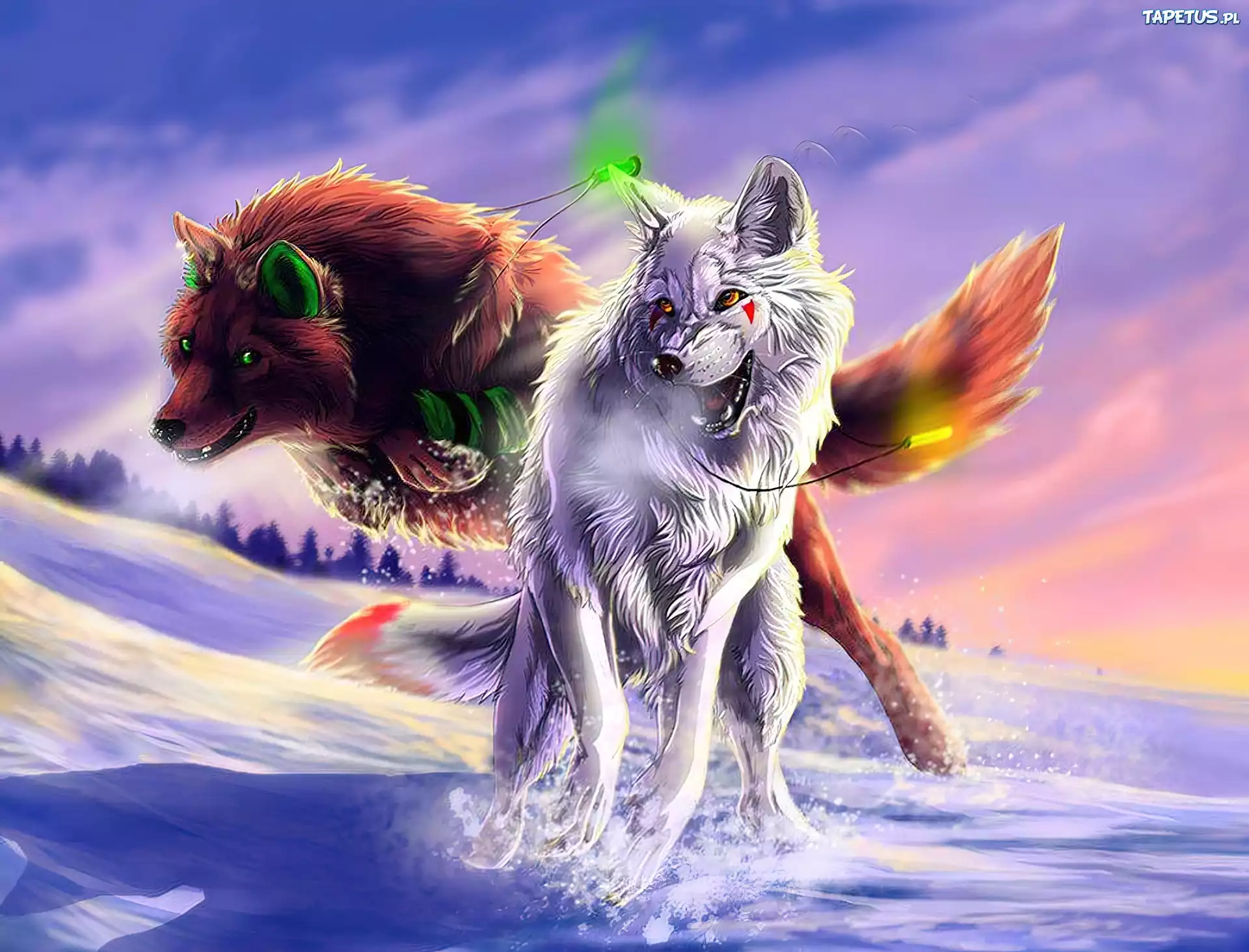 Wilki, Las, Zachód, Słońca, Fantasy