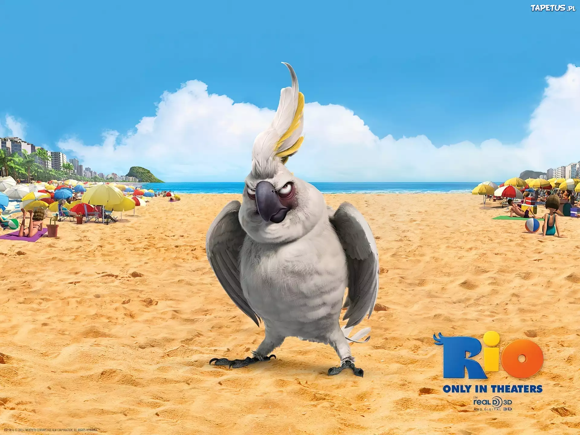 Film, Animowany, Rio