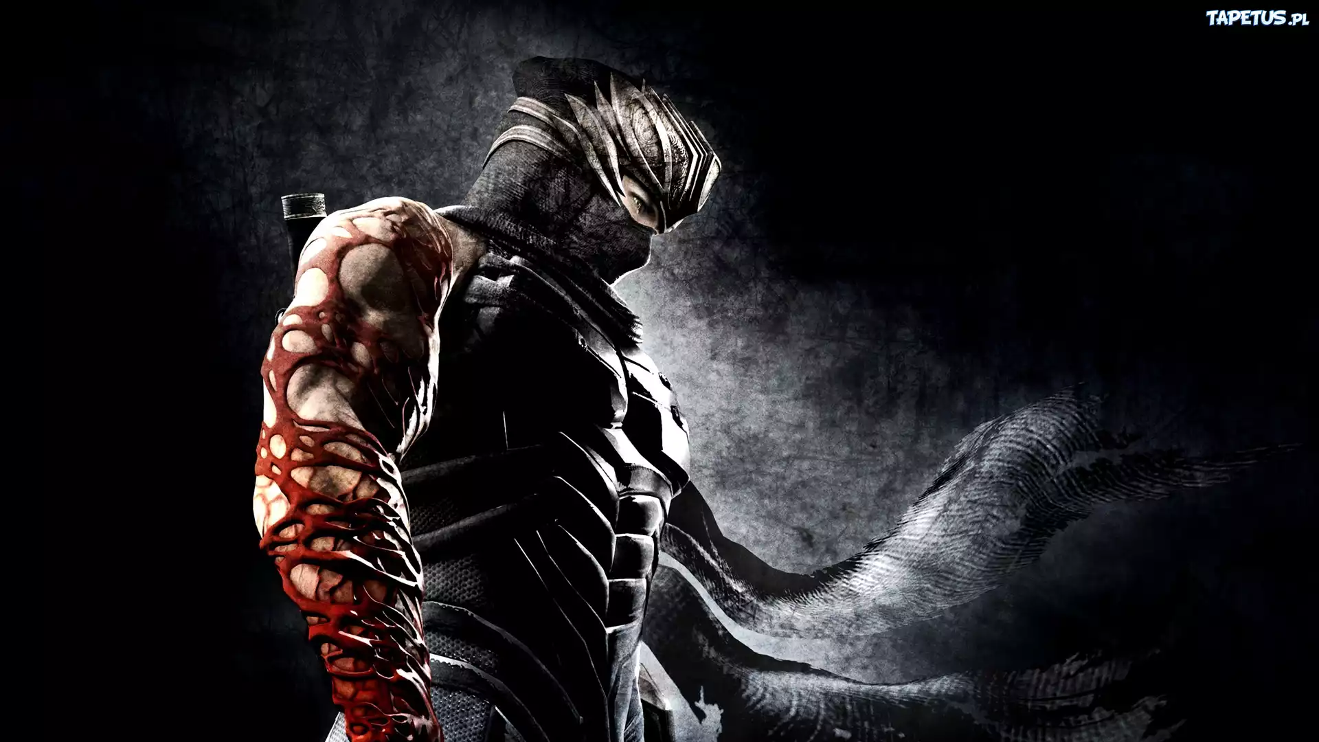 Ninja Gaiden, Ryu Hayabusa