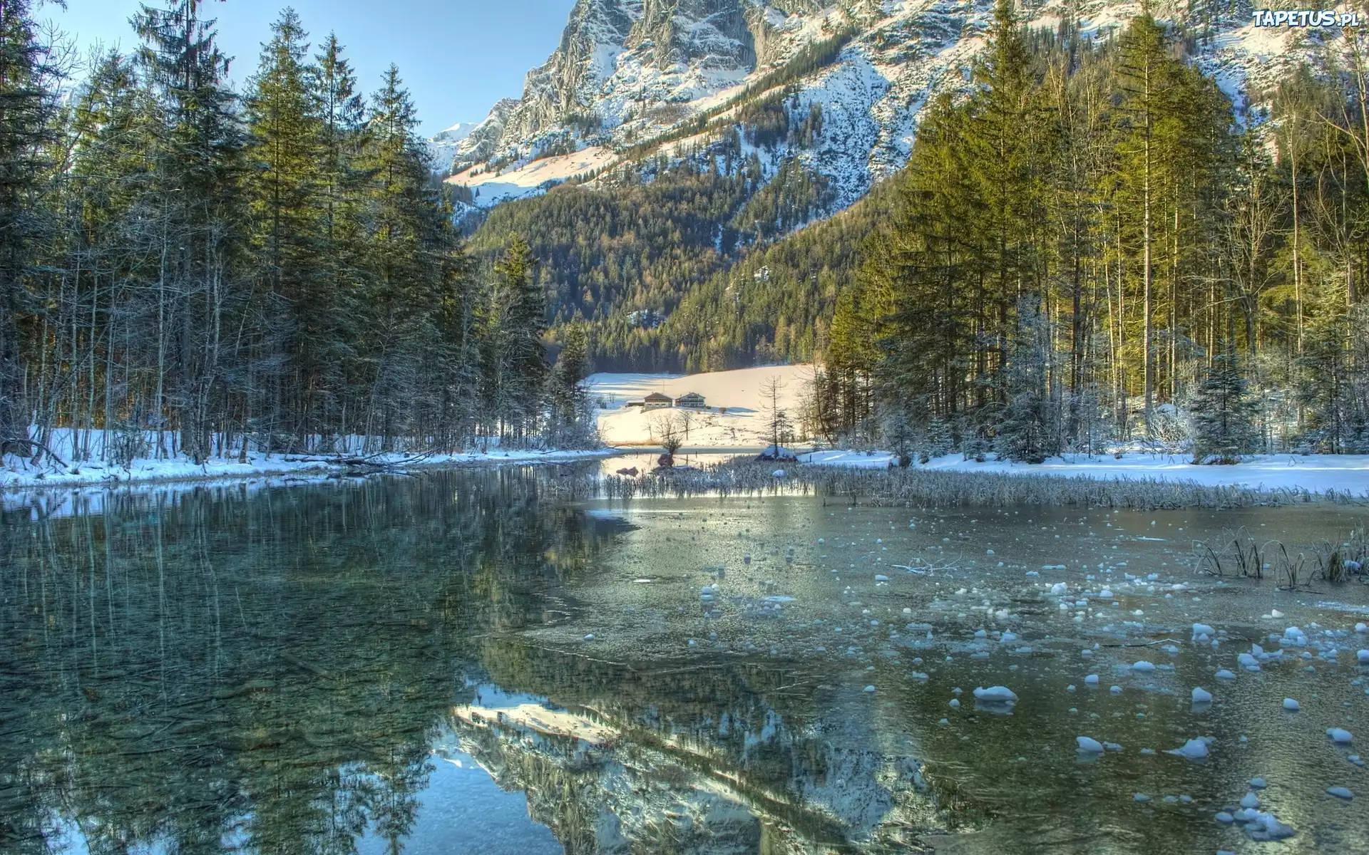 Rzeka, Góry, Choinki, Zima