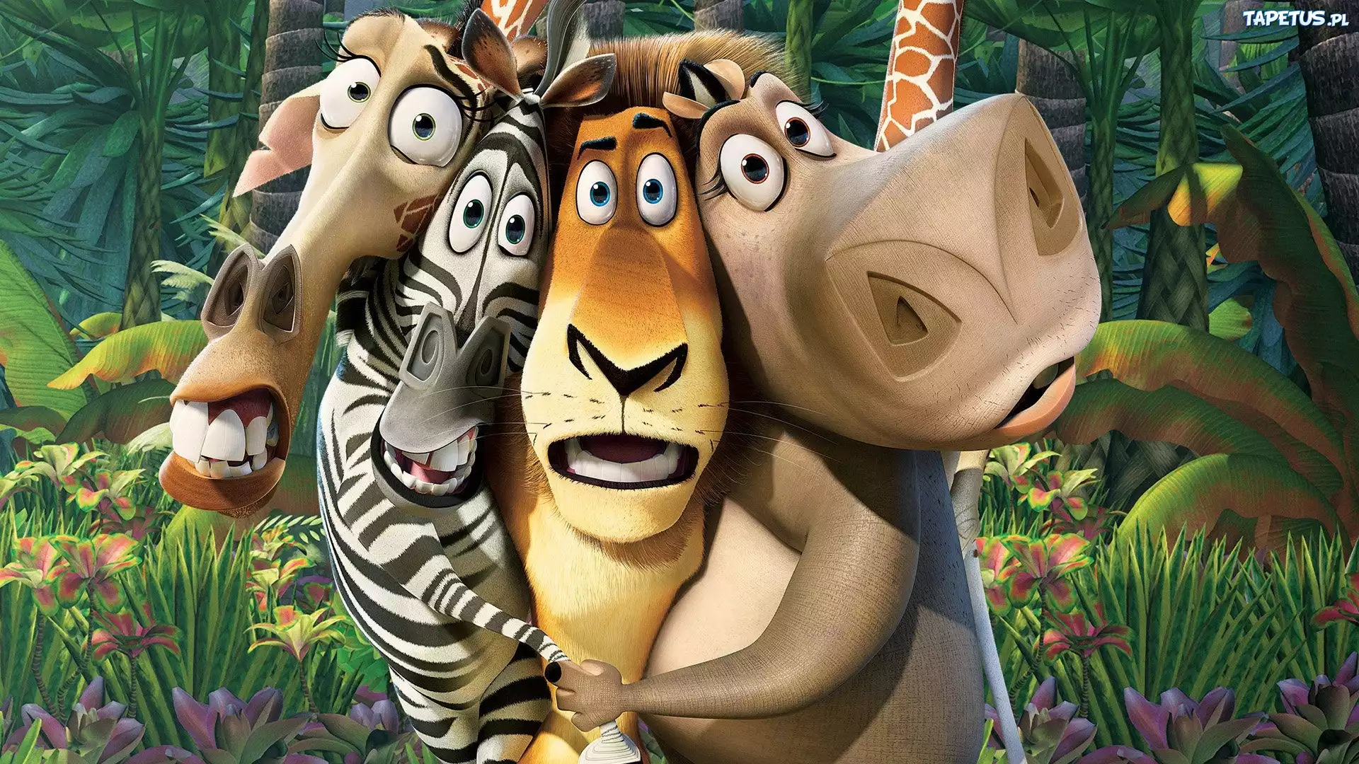 Film, Animowany, Madagaskar, Postacie