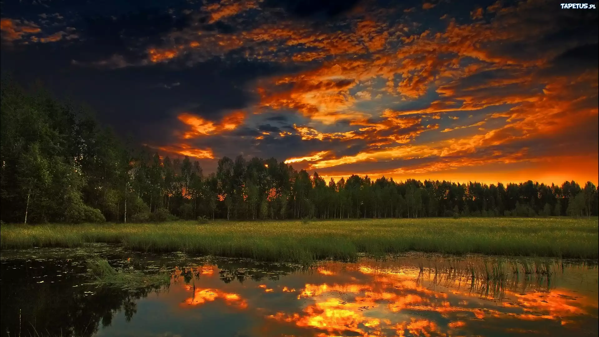 Las, Jezioro, Chmury
