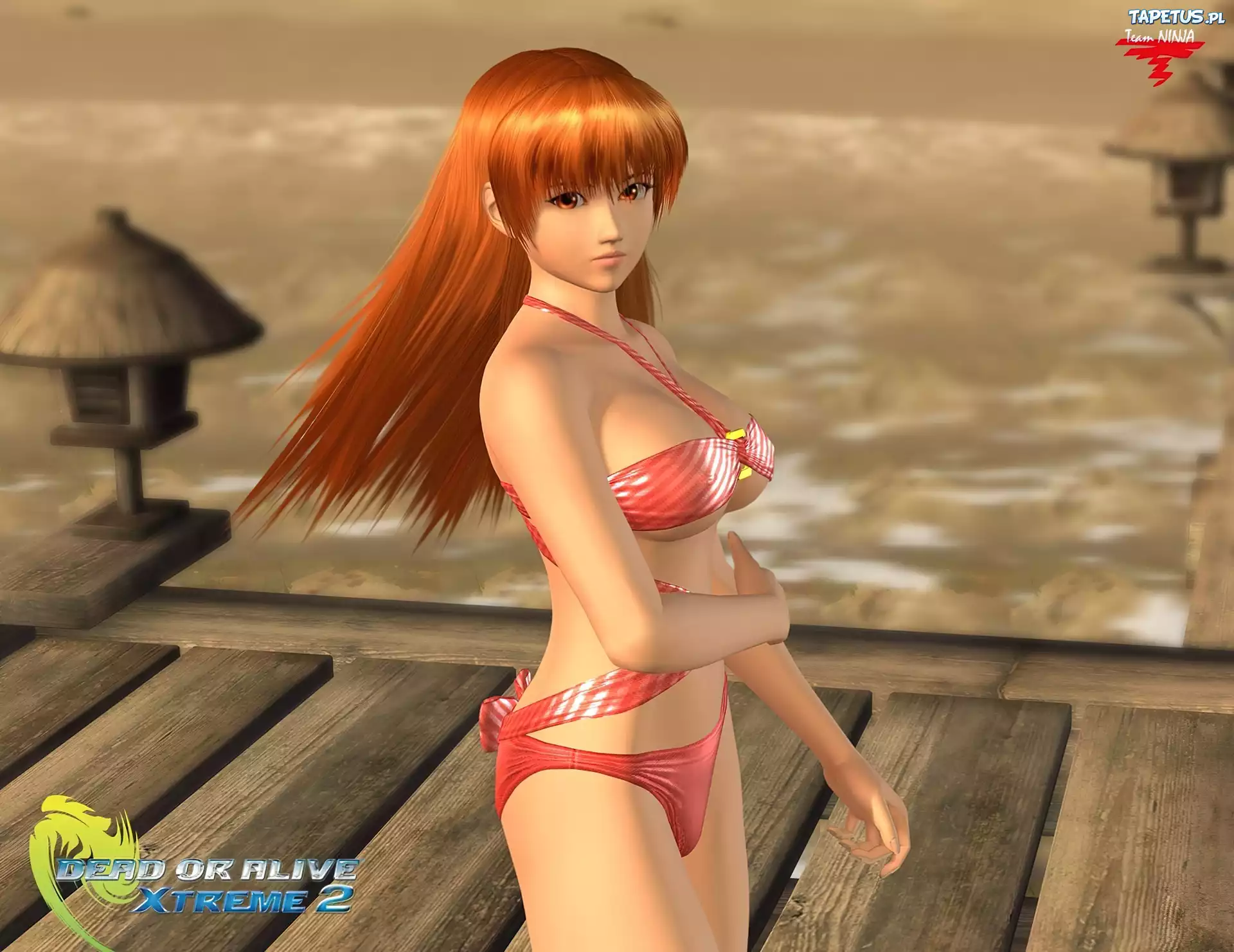 Dead Or Alive Xtreme 2, Kasumi