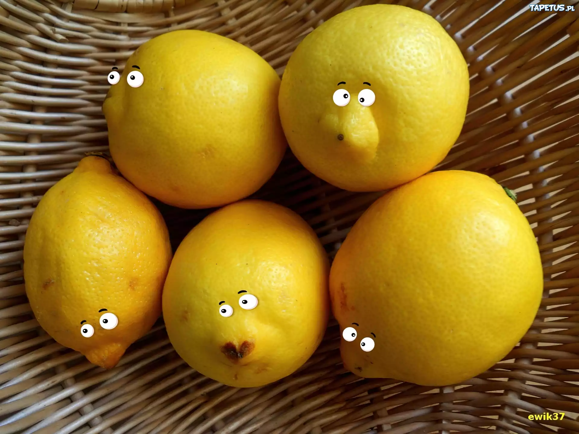 Cytryny, Oczy, Koszyk