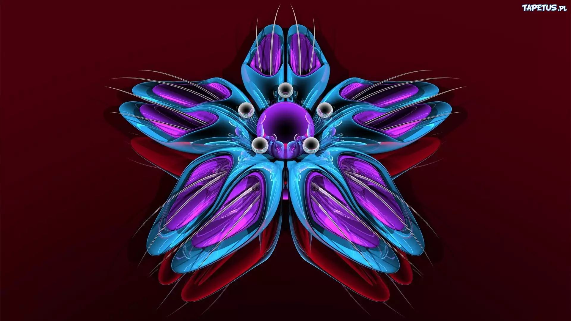 Niebieski, Kwiat, Grafika 3D