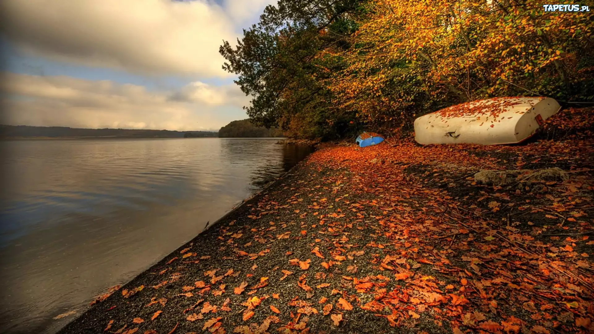 Jezioro, Plaża, Jesień