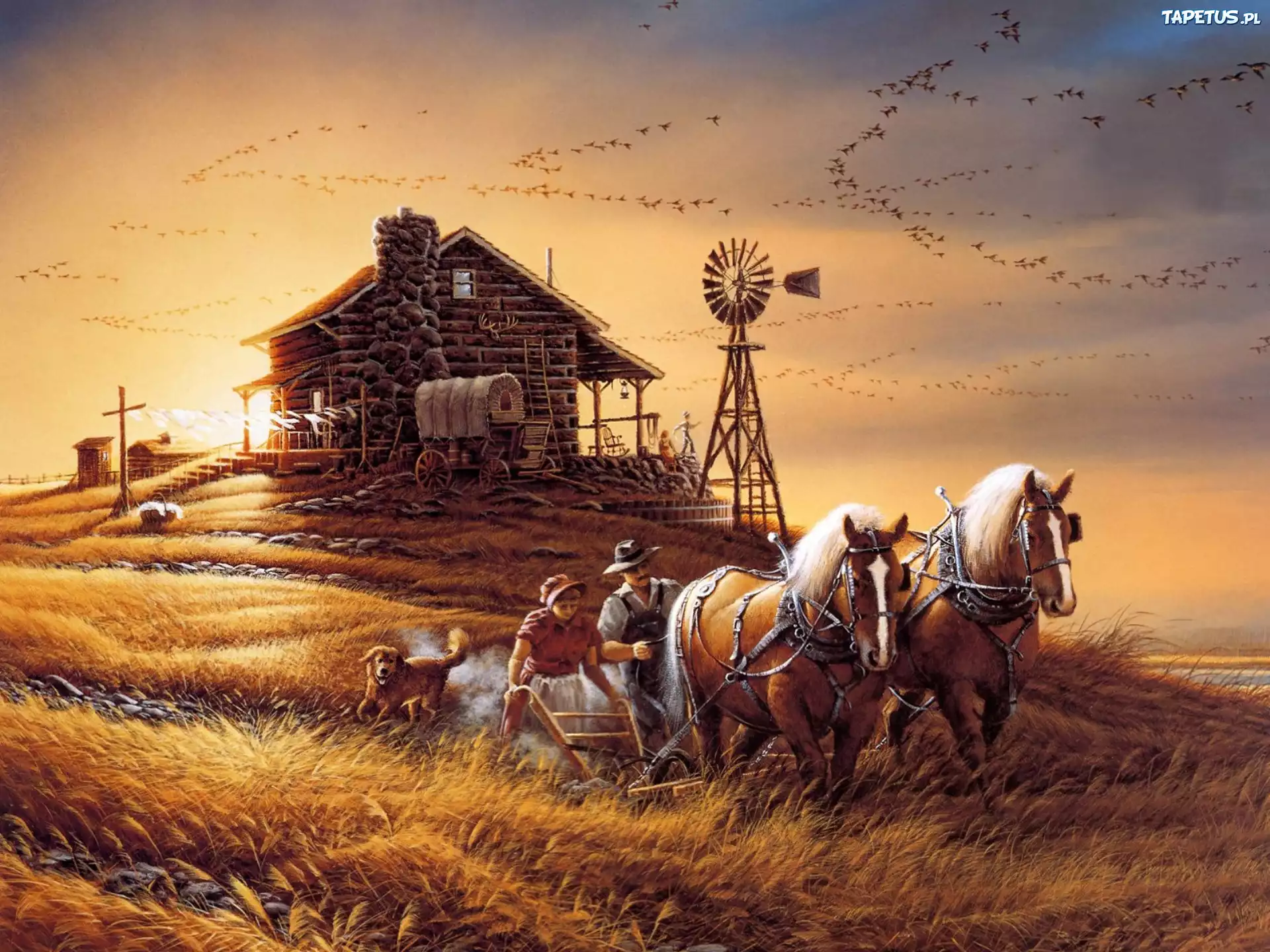 Obraz, Terry Avon Redlin, Konie, Pole