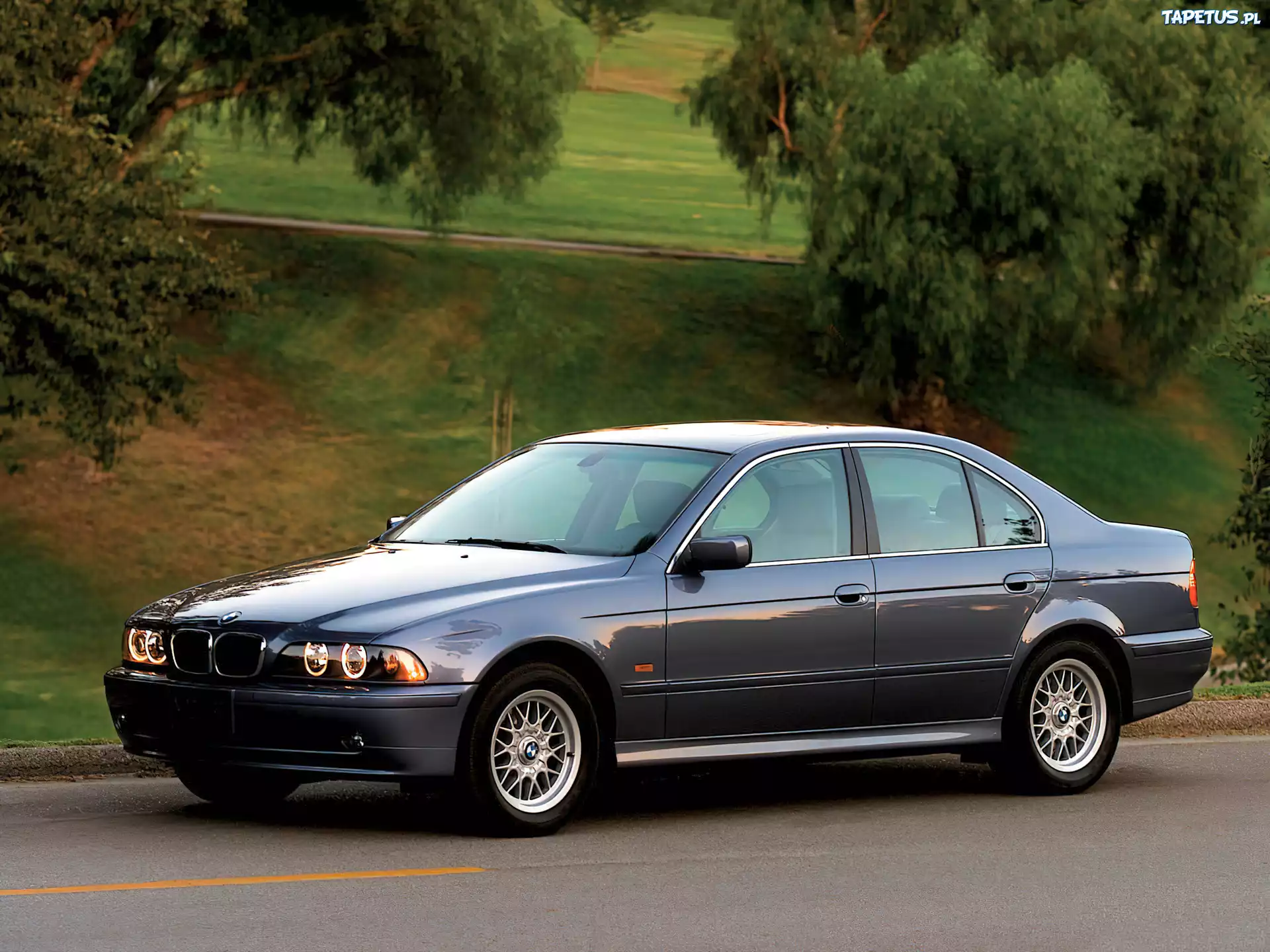 BMW E 39