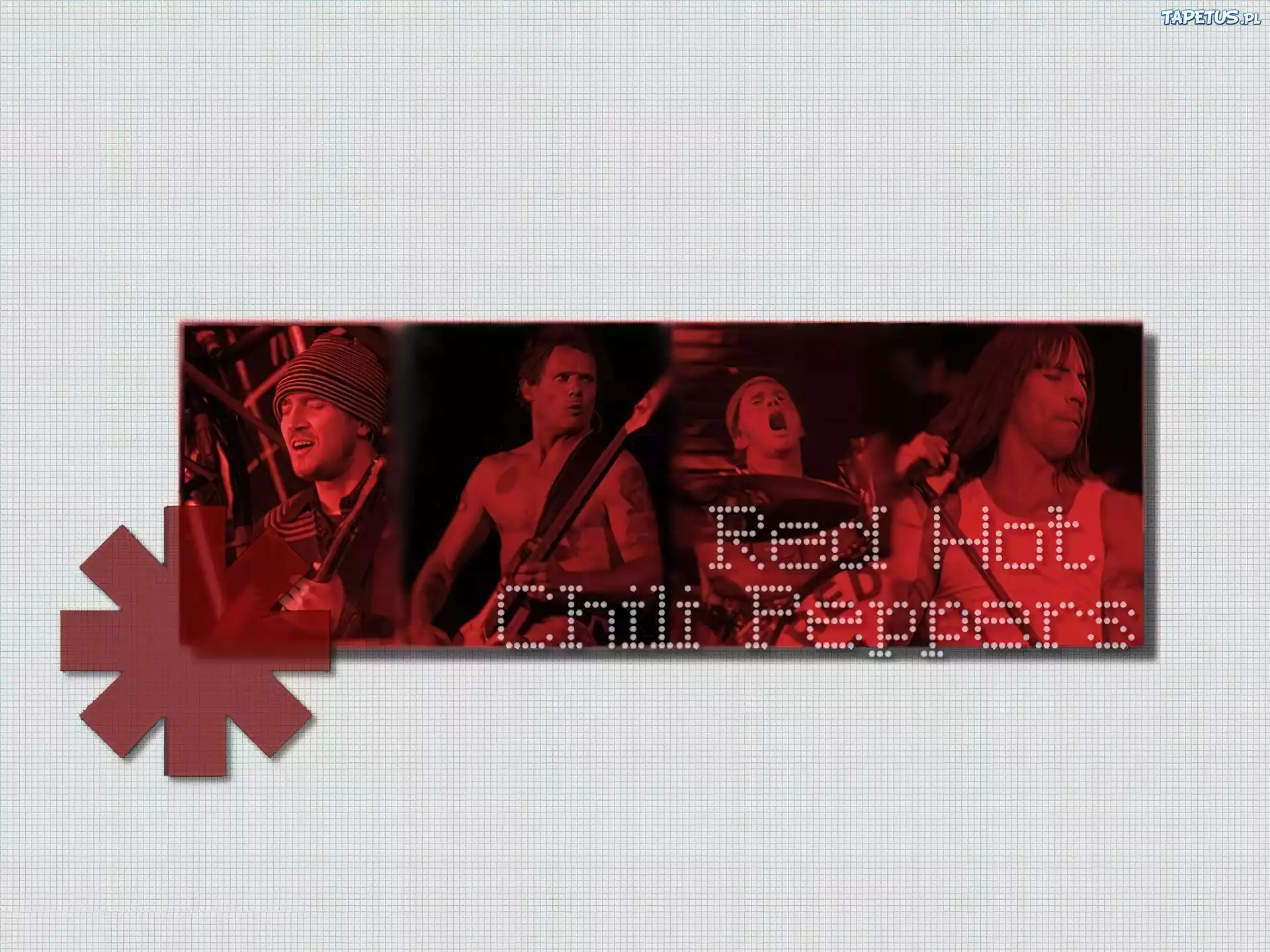 Red Hot Chili Peppers,zespół, koncert, gitara