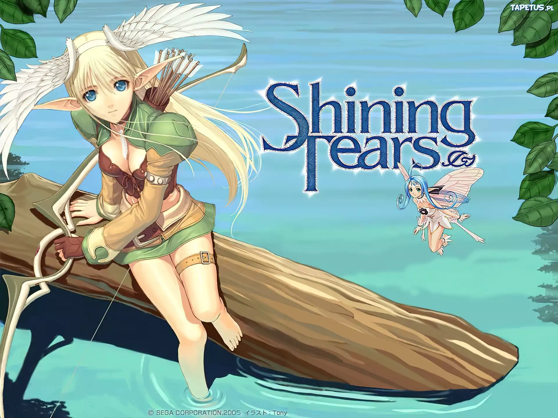 Shining Tears, postać, kobieta, elf, strzała