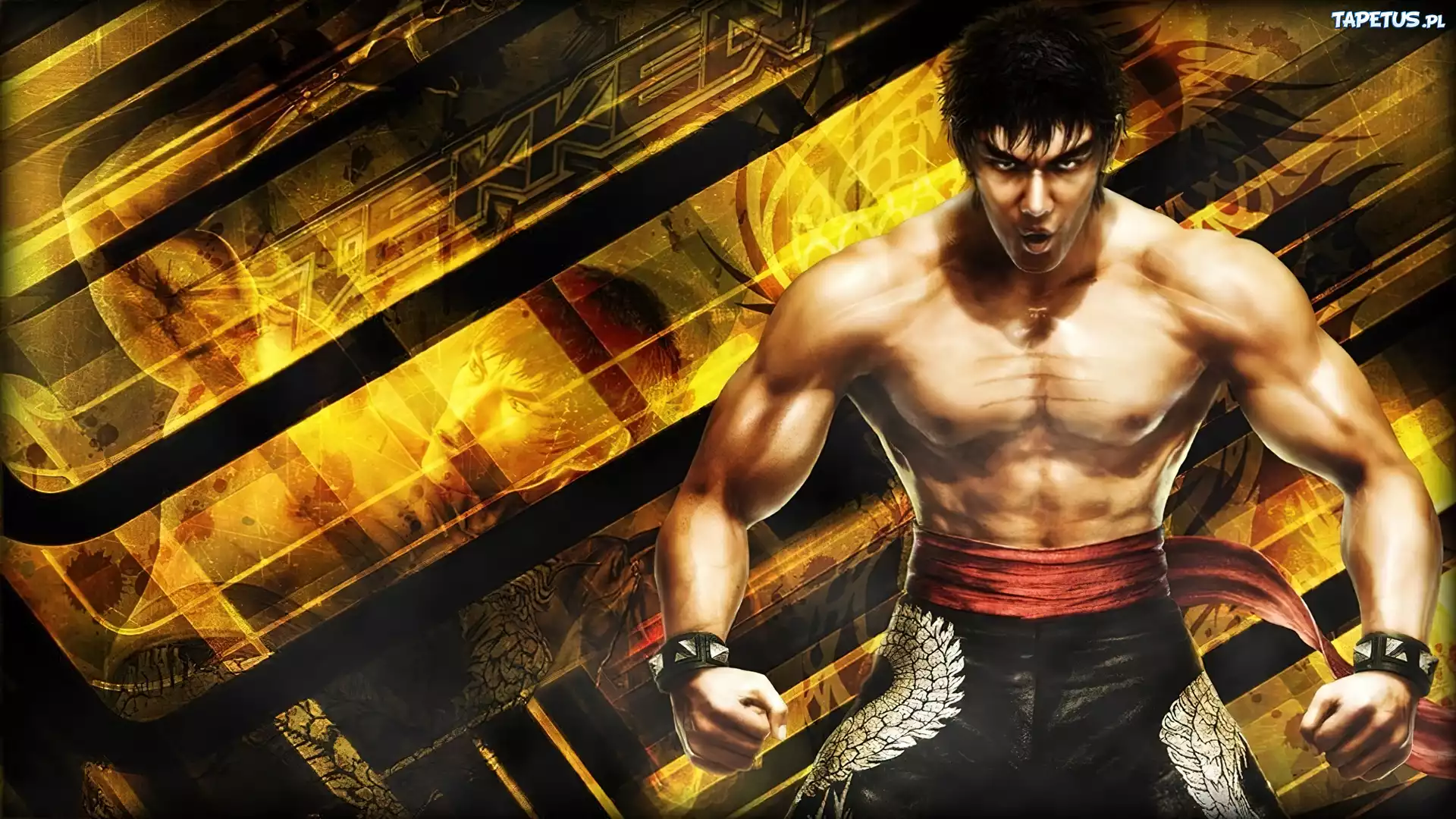 Tekken 6, Marshal Law