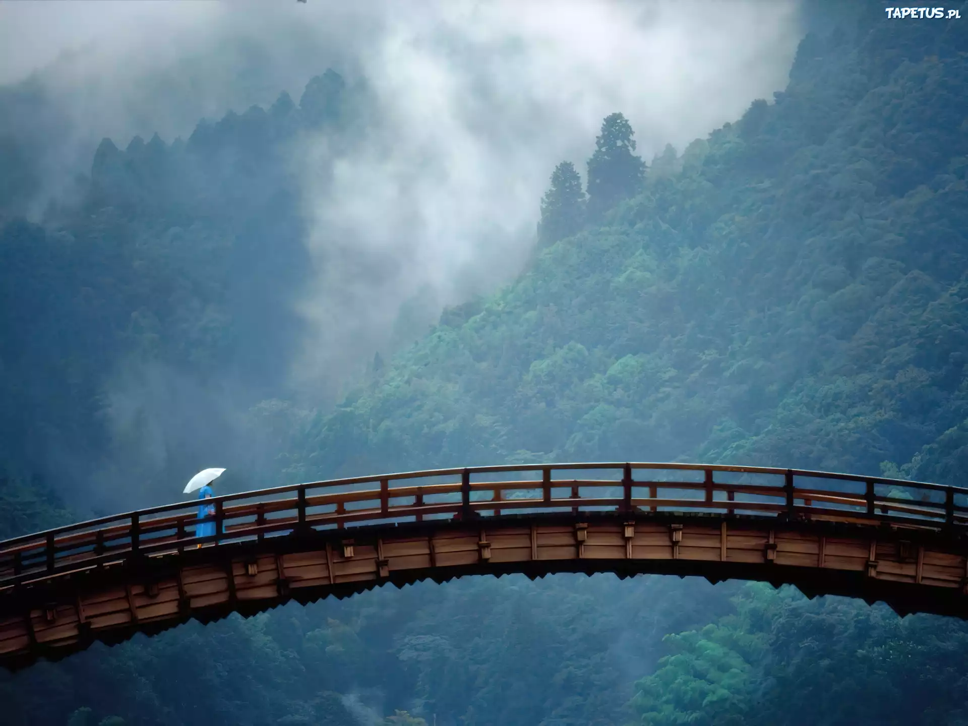 Japonia, Most, Las