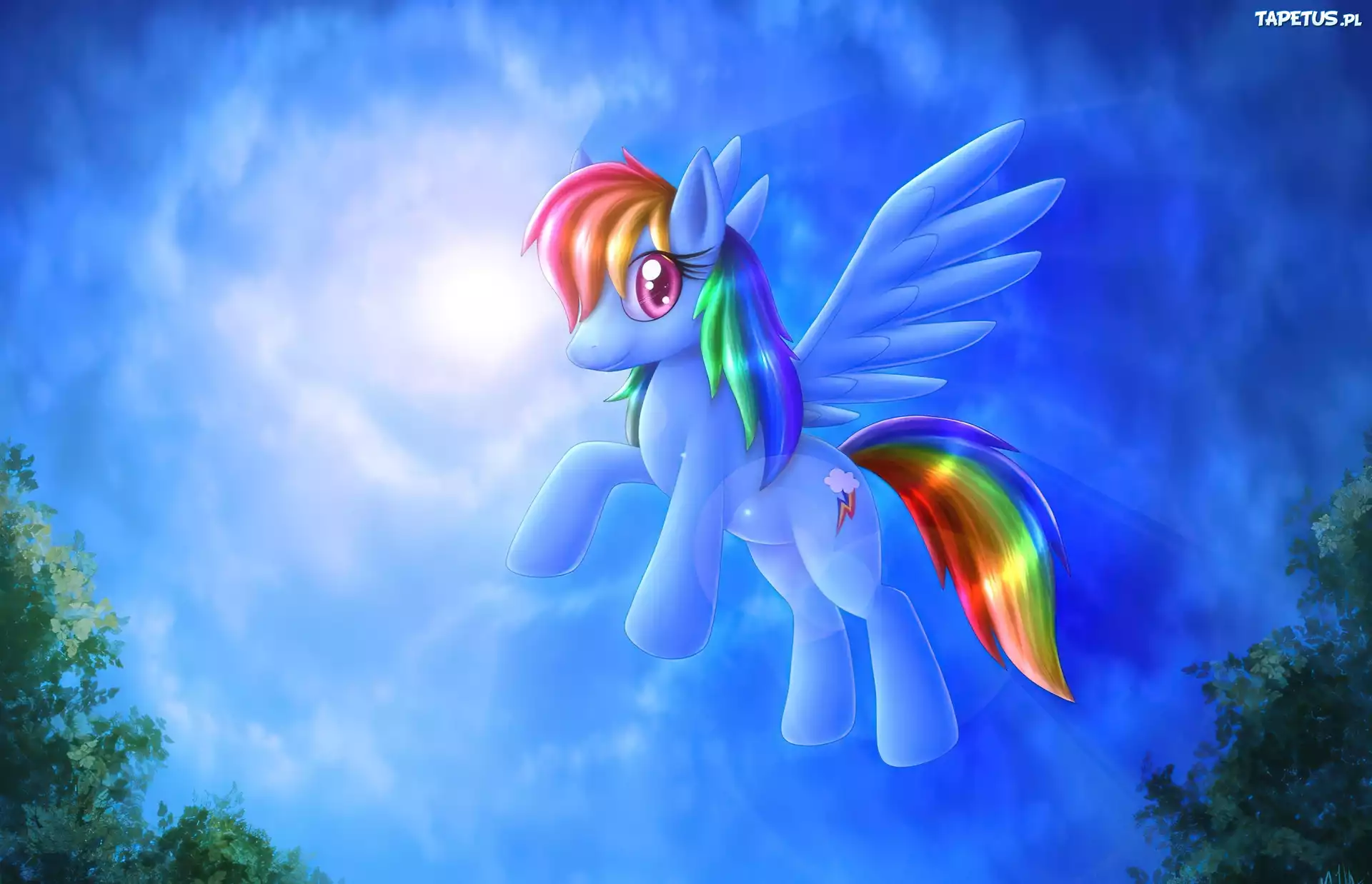 My Little Pony Przyjaźń To Magia, Rainbow Dash