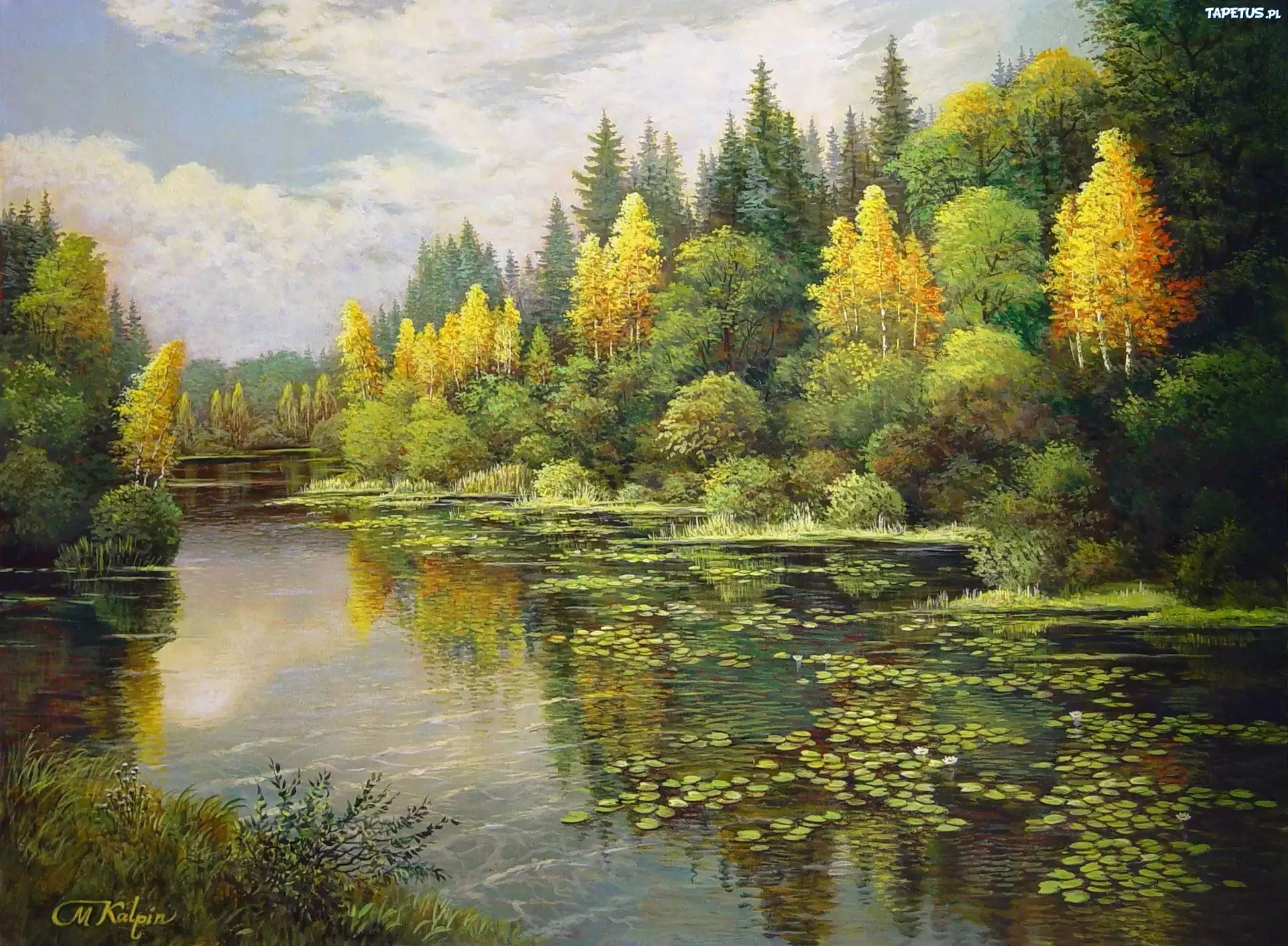 Jezioro, Las, Jesień