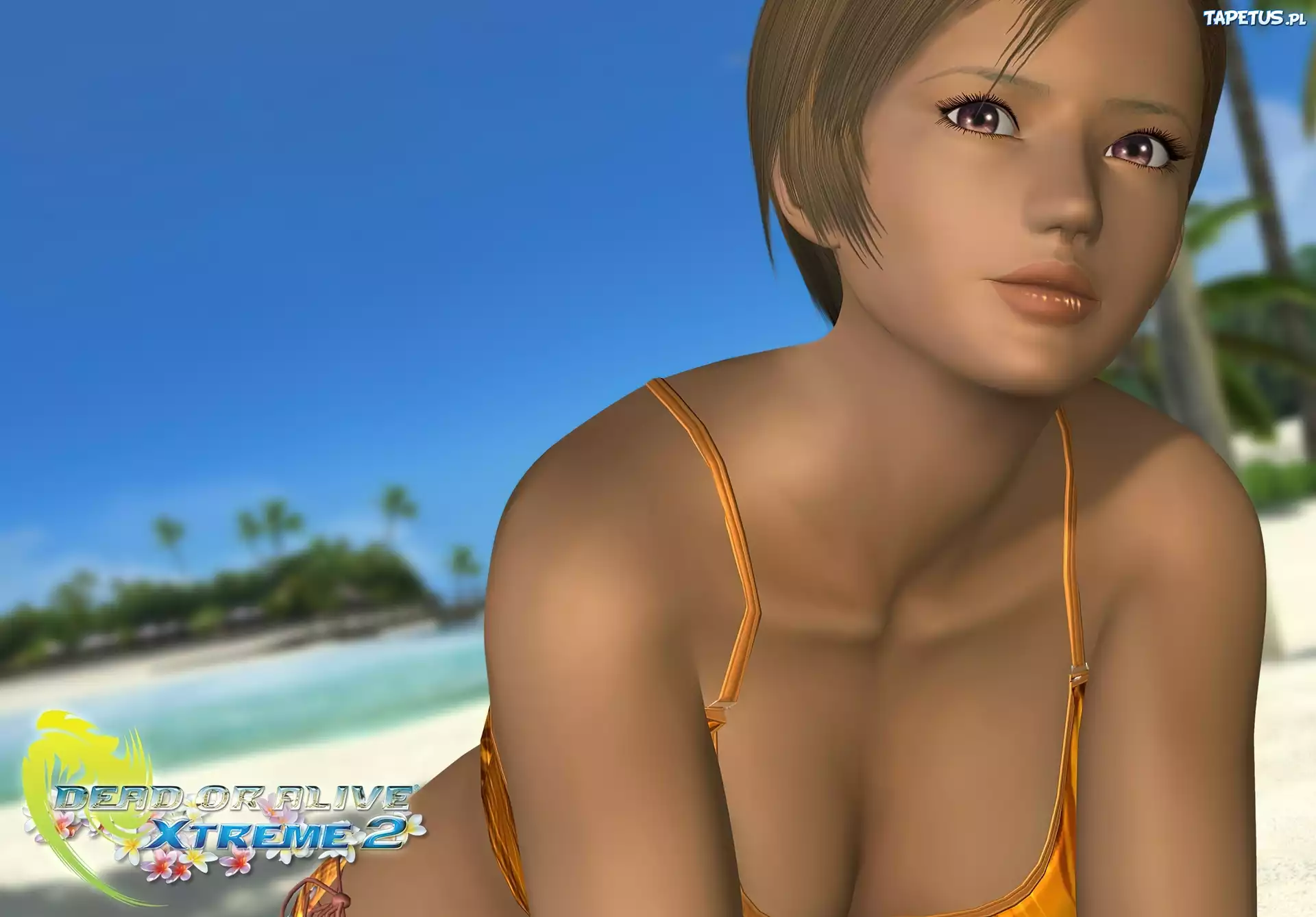 Dead Or Alive Xtreme 2, Lisa Hamilton