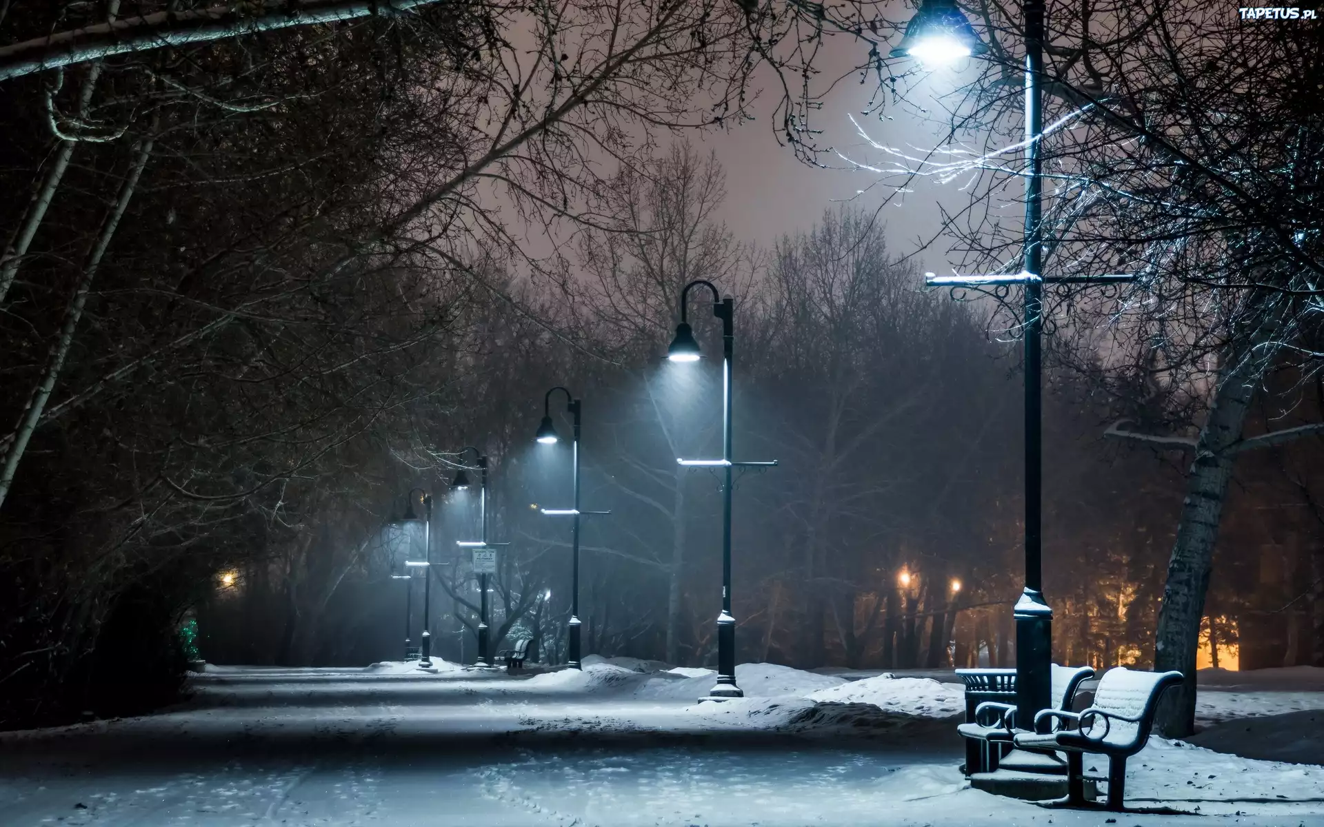Park, Latarnie, Ławki, Zima