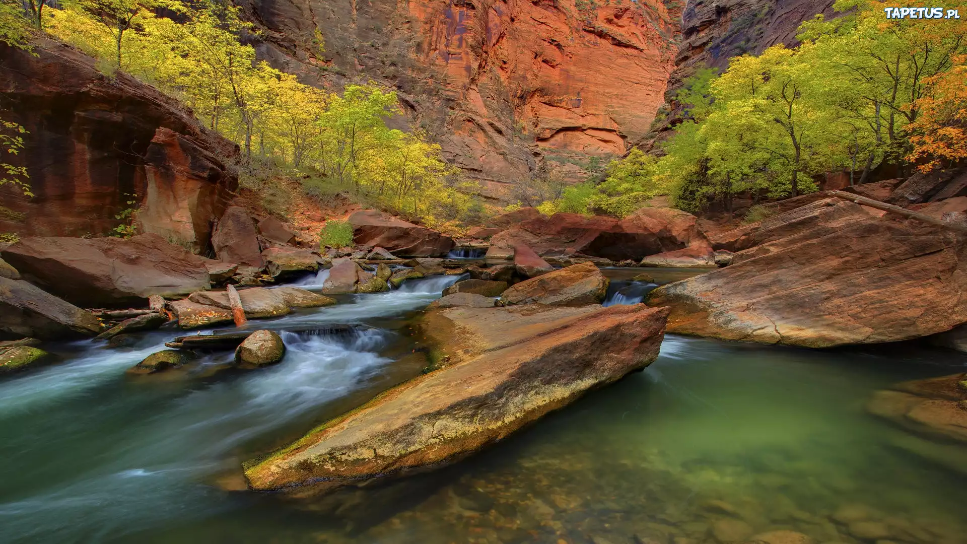 Rzeka, Skały, Drzewa, Zion, Utah