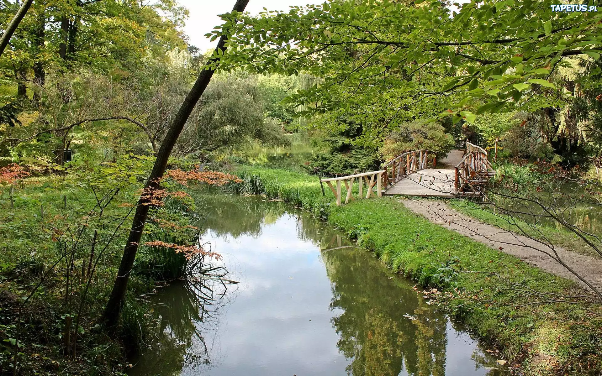 Park, Rzeczka, Mostek
